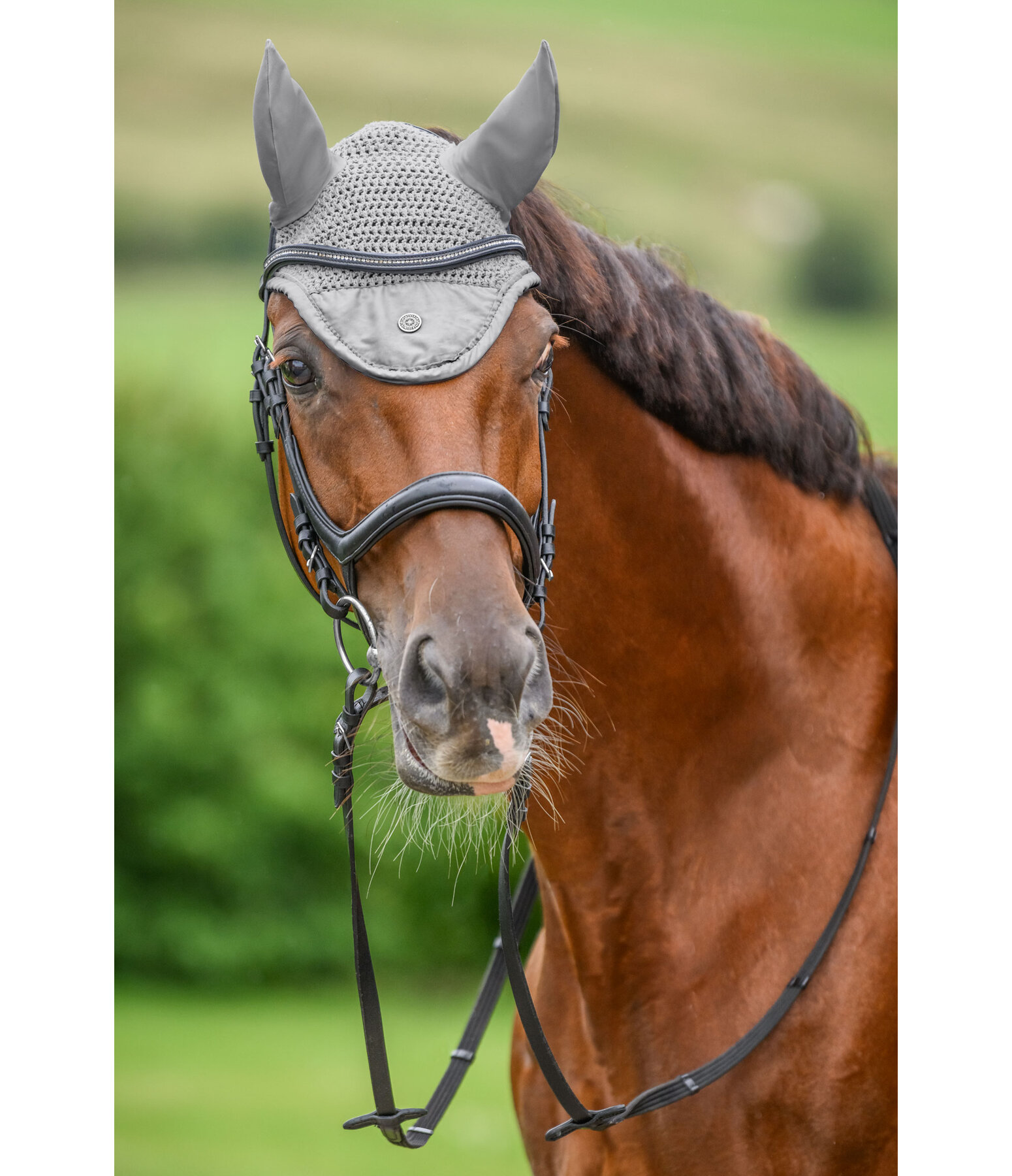 Bonnet anti-mouches  Astro