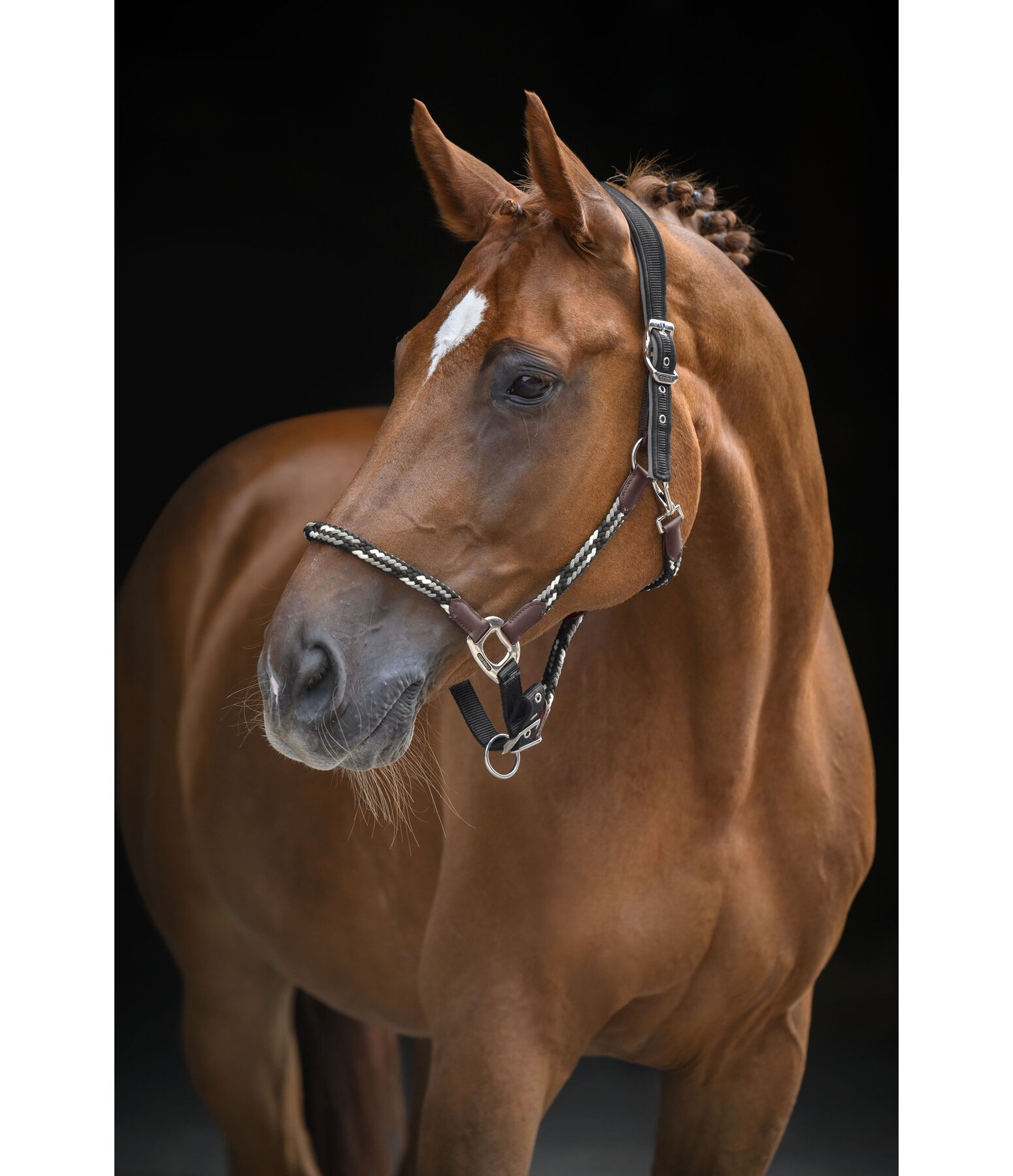 Licol anatomique  Sophistication