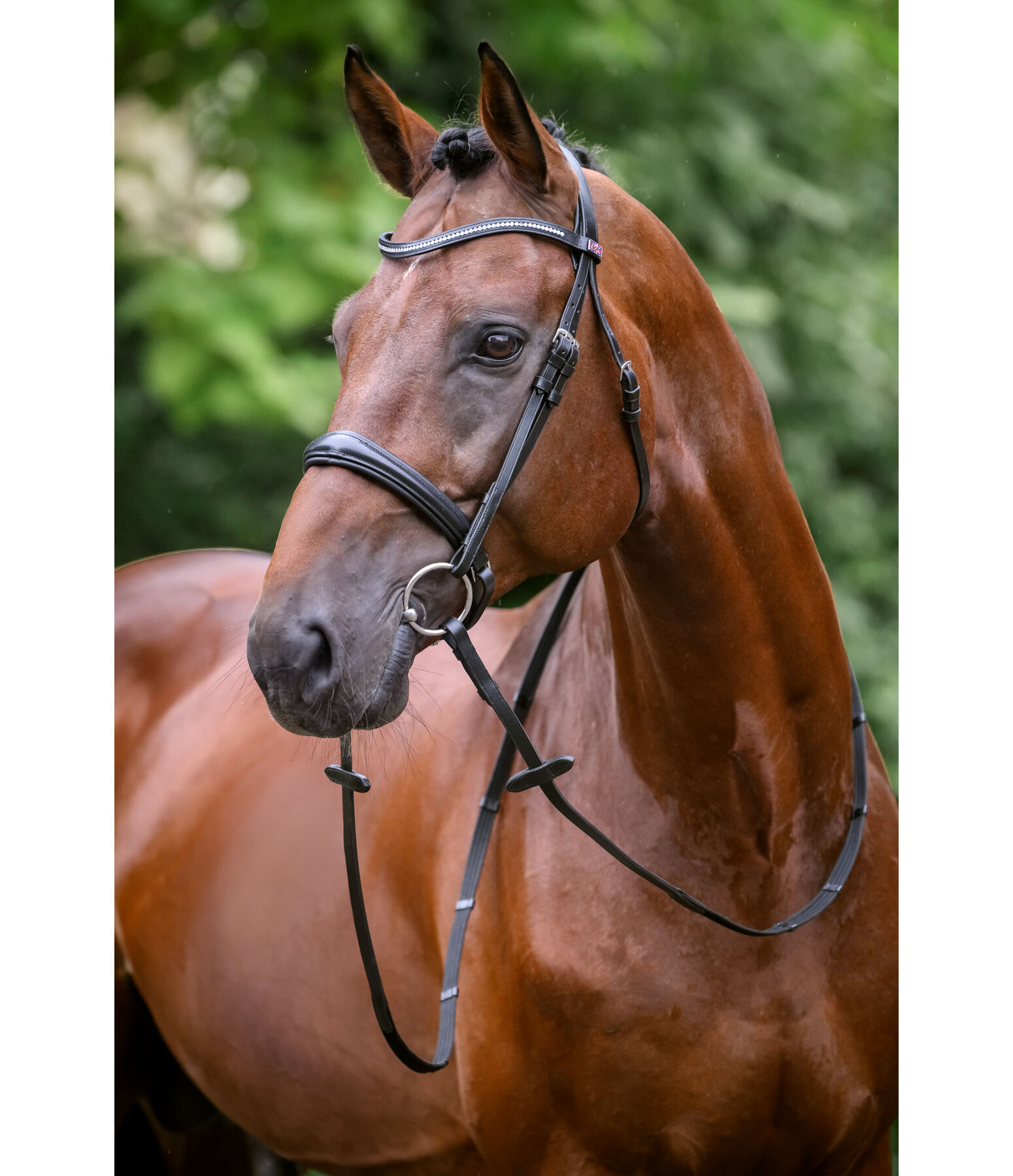Bridon avec noseband et boucle amovibles  Mirissa