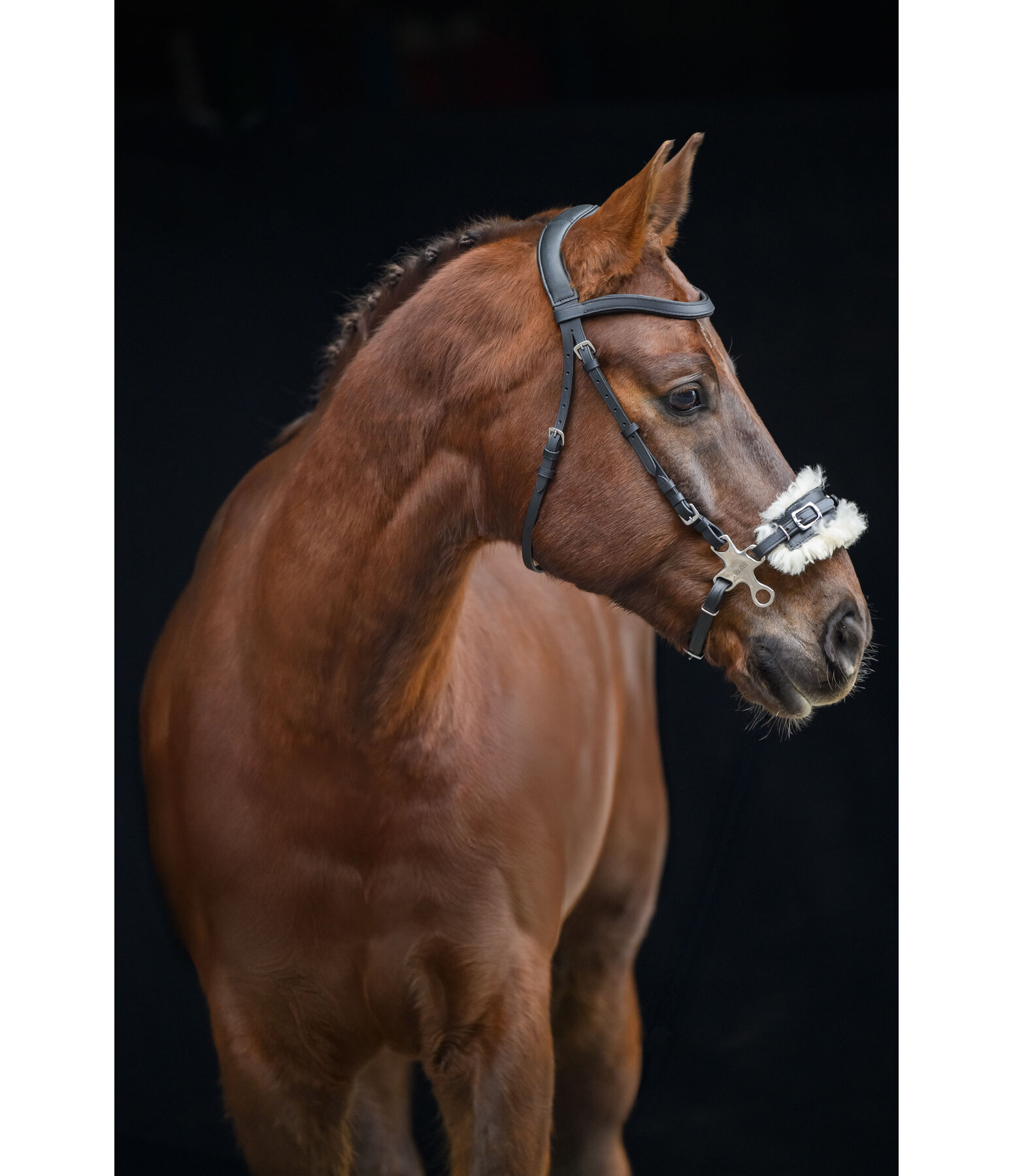 Hackamore avec doublure imitation fourrure