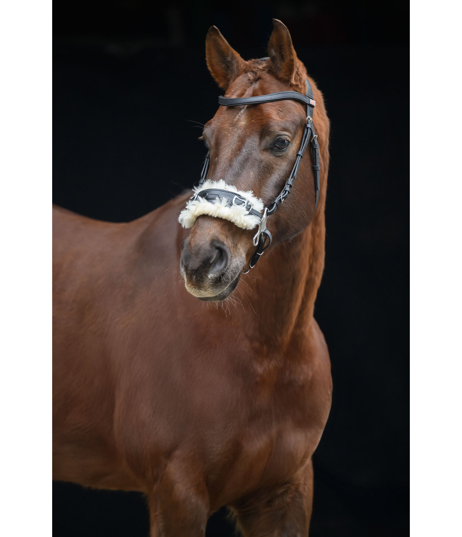 Hackamore avec doublure imitation fourrure