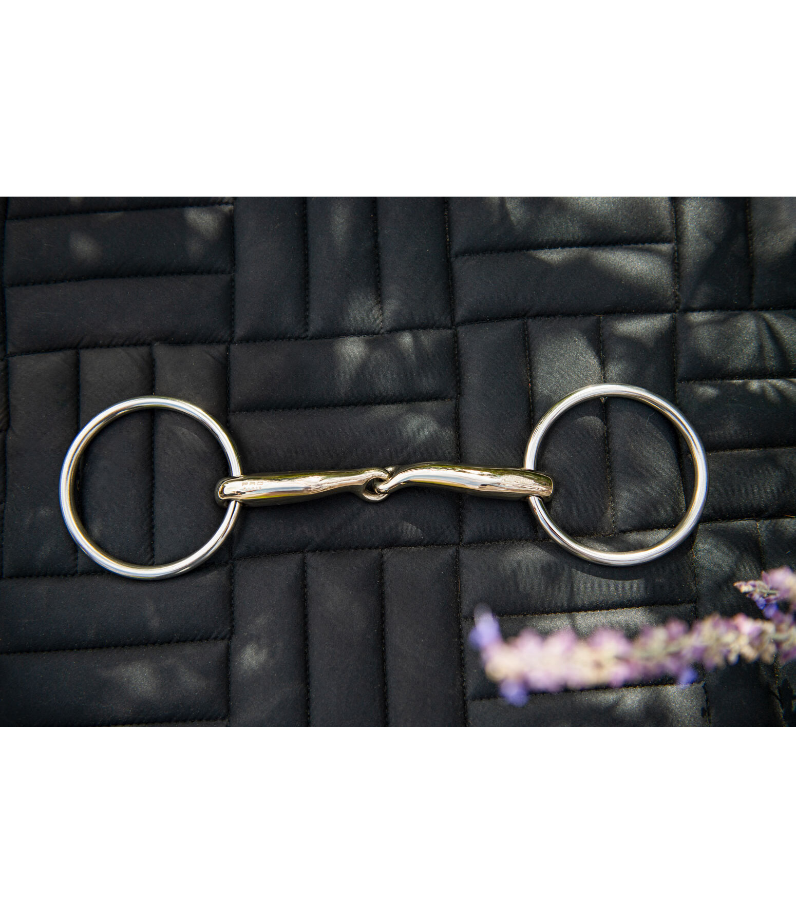 Mors  anneaux simple brisure SG Pronamic Sensogan