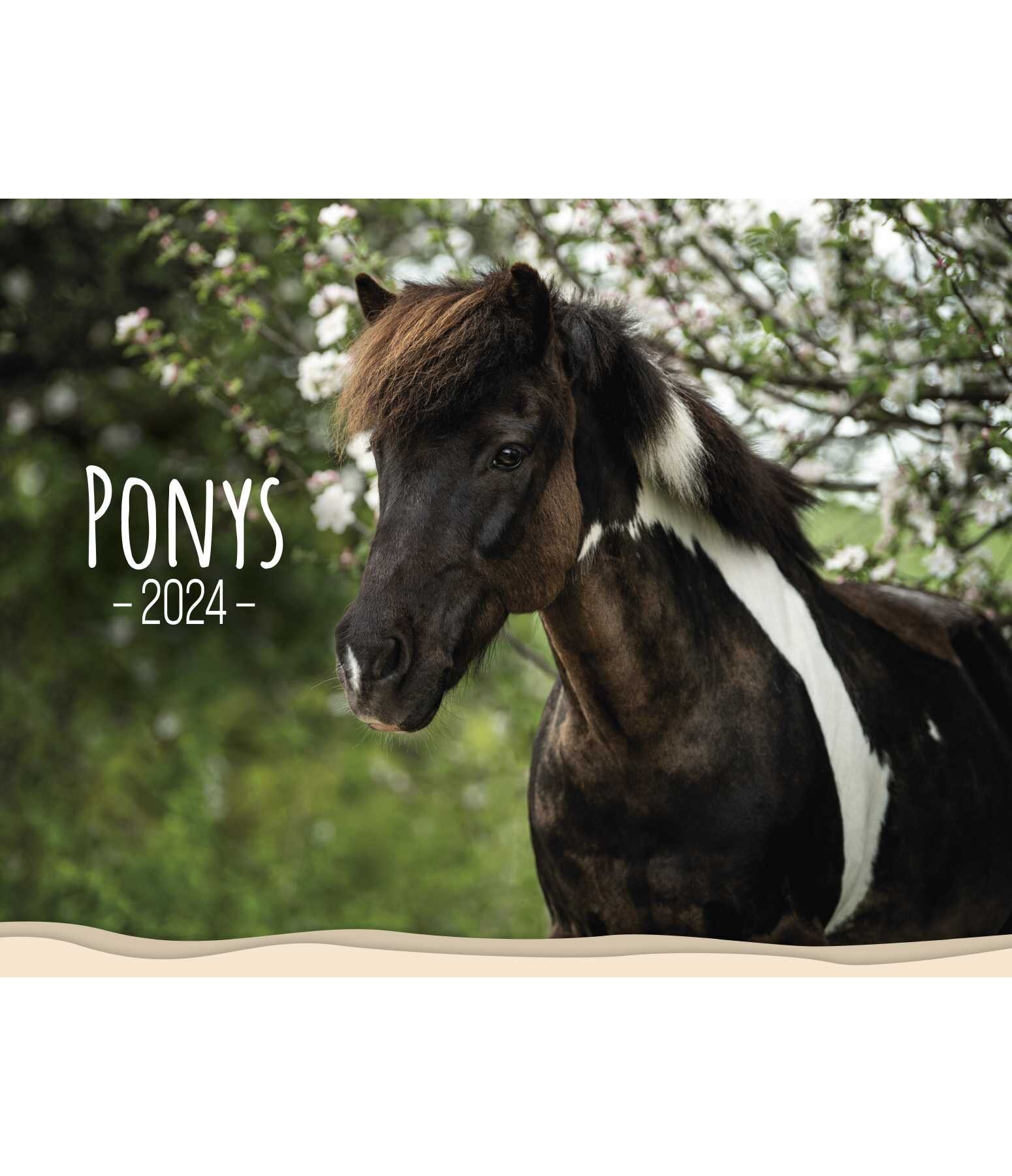 Calendrier 2025 - Poneys