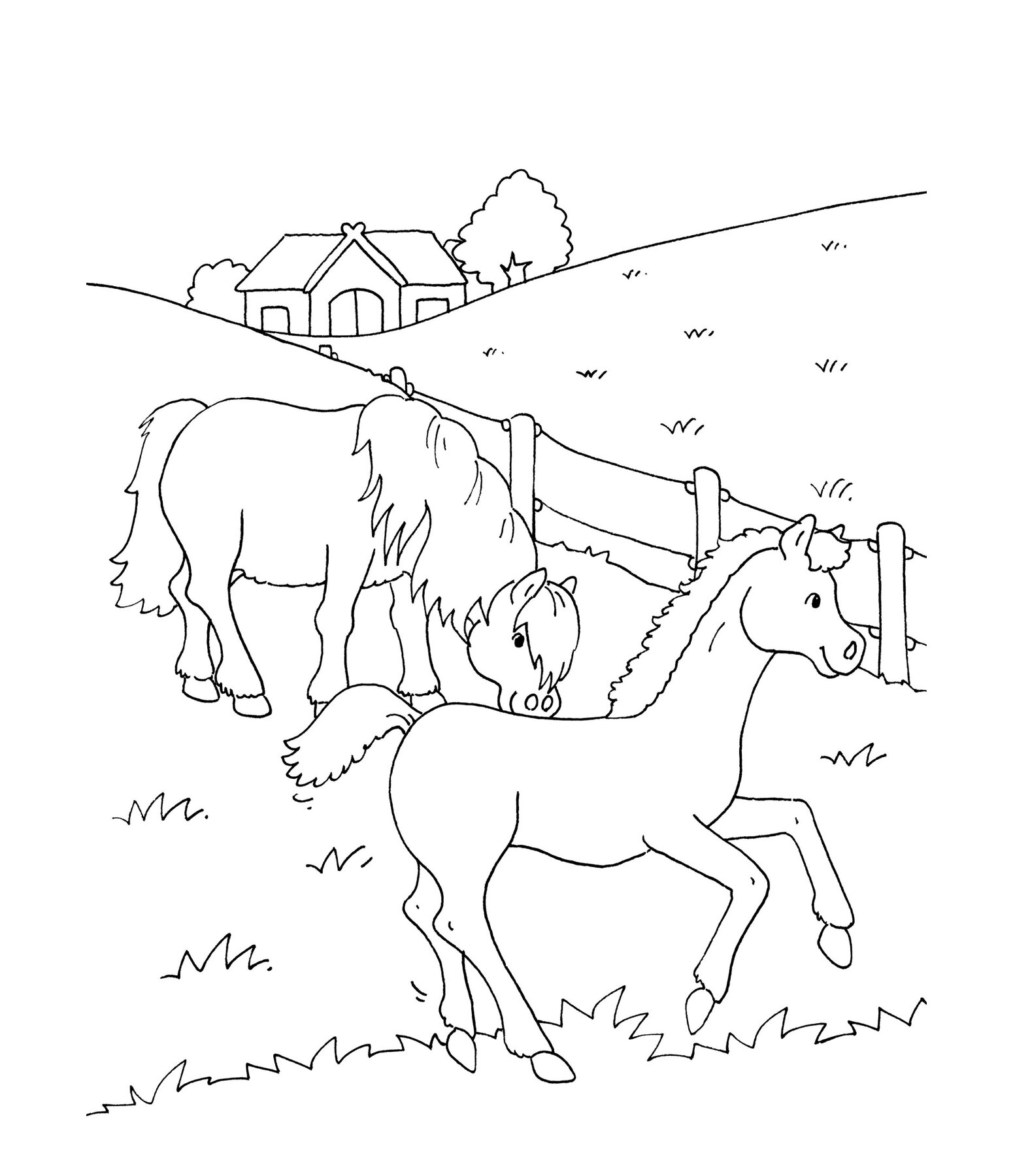 Mon grand livre de coloriage - Chevaux
