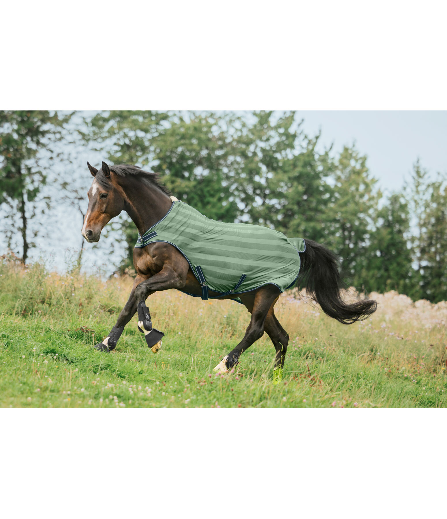 Couverture de marcheur anti-mouches  Economy Light