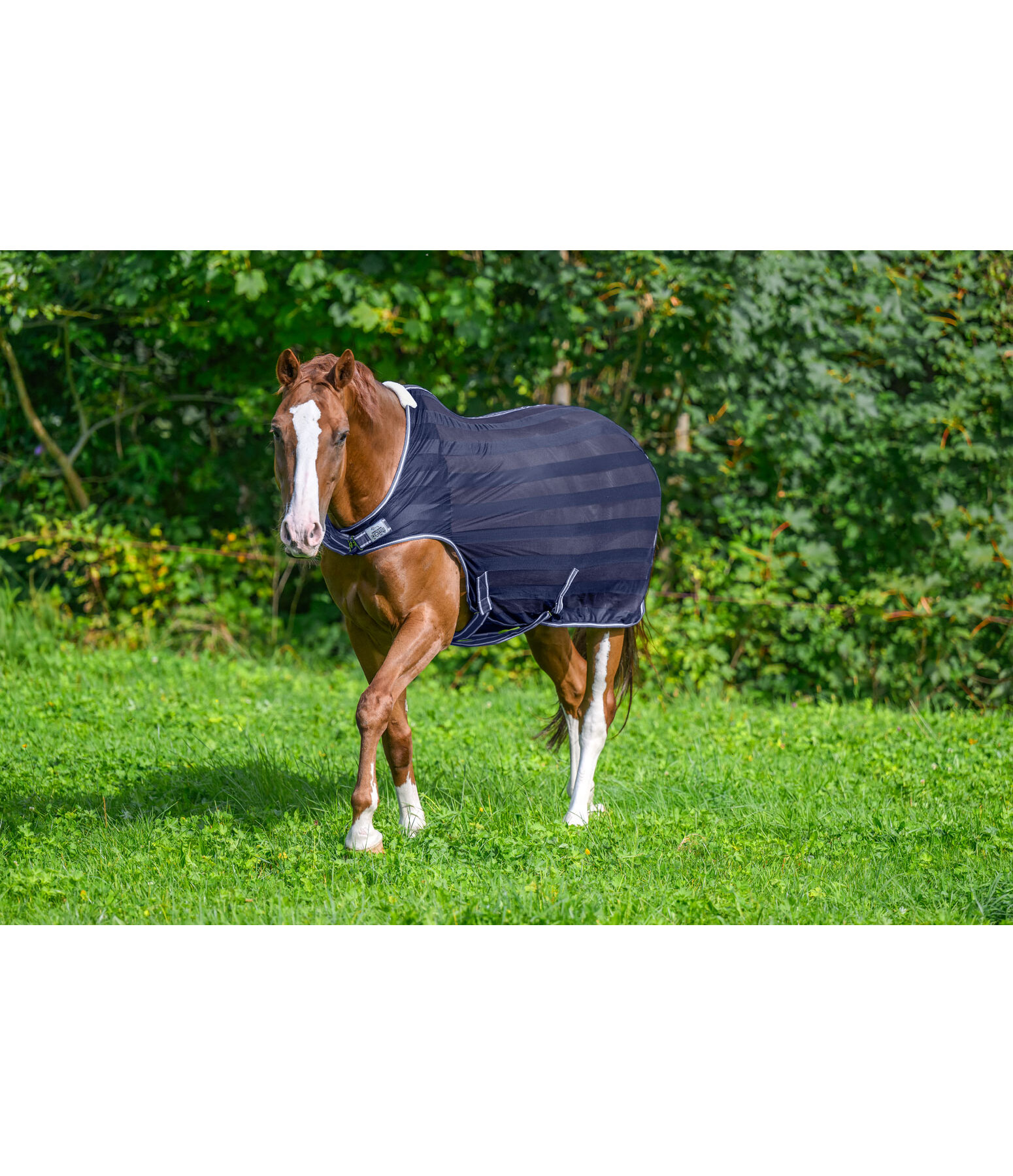 Couverture de marcheur anti-mouches  Economy Light