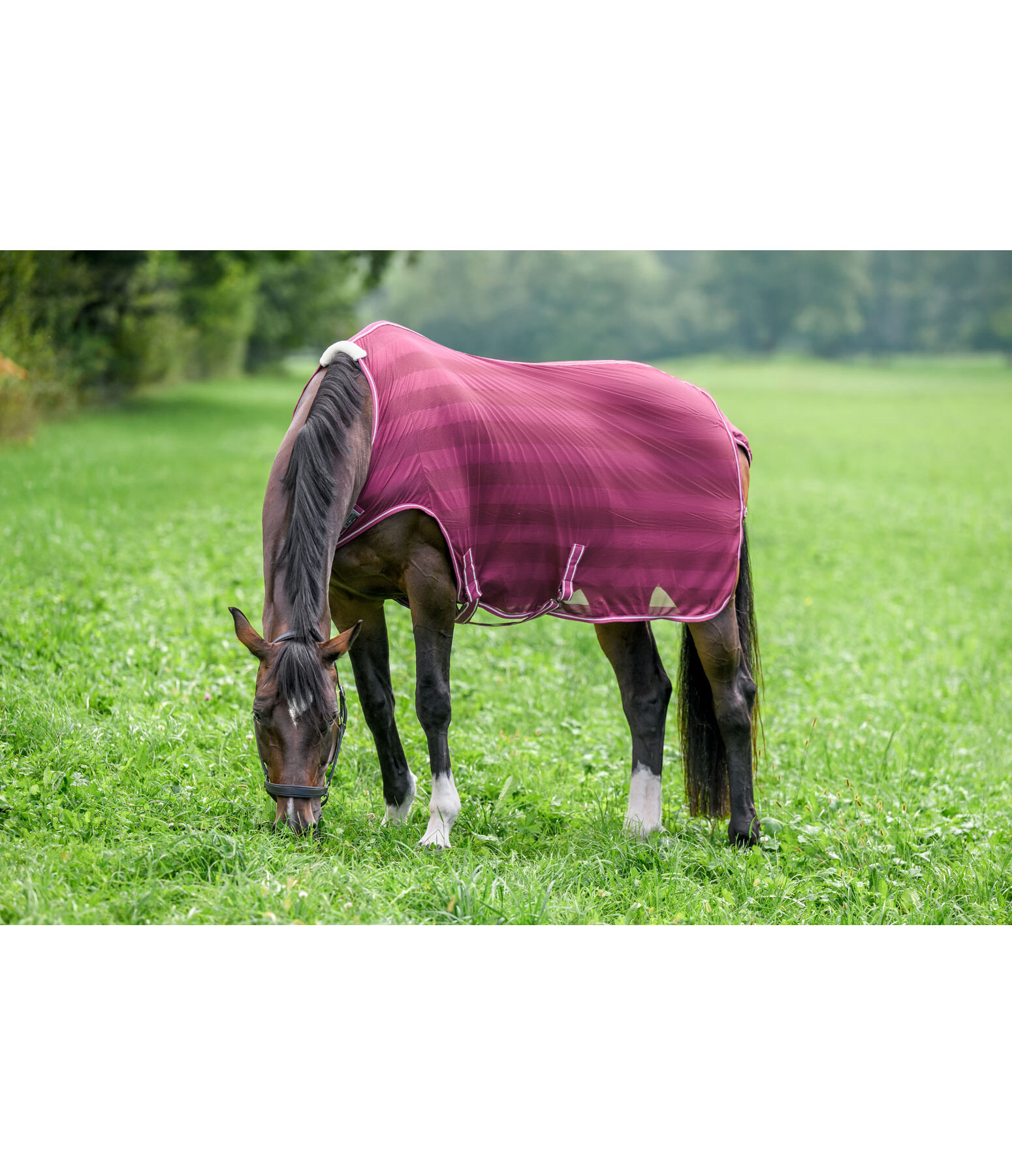 Couverture de marcheur anti-mouches  Economy Light