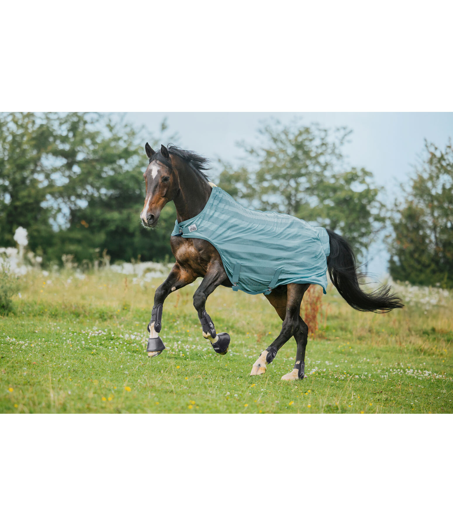 Couverture de marcheur anti-mouches  Economy Light