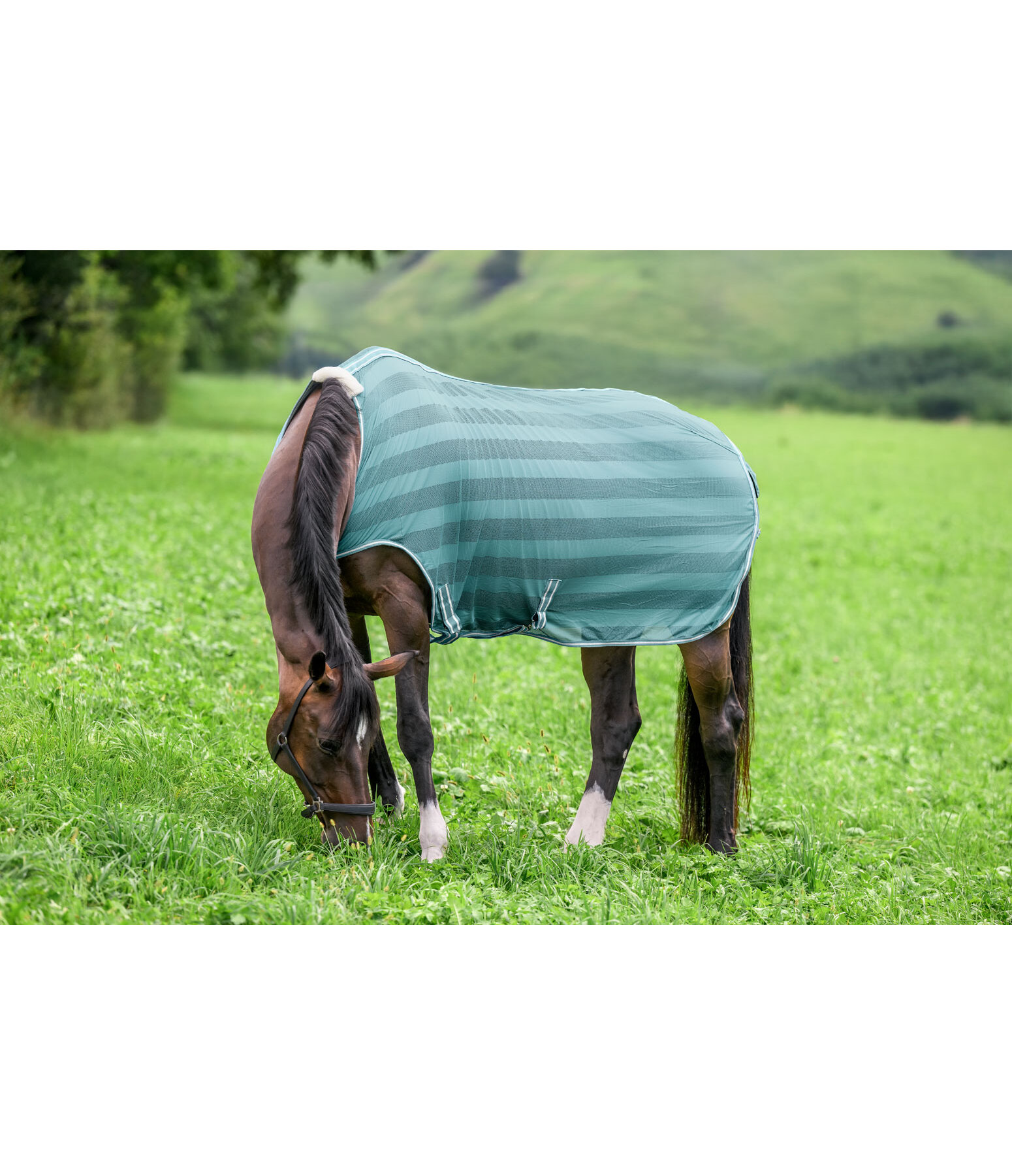 Couverture de marcheur anti-mouches  Economy Light