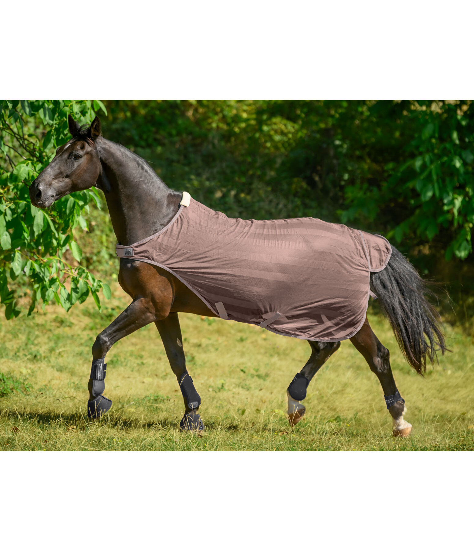 Couverture de marcheur anti-mouches  Economy Light