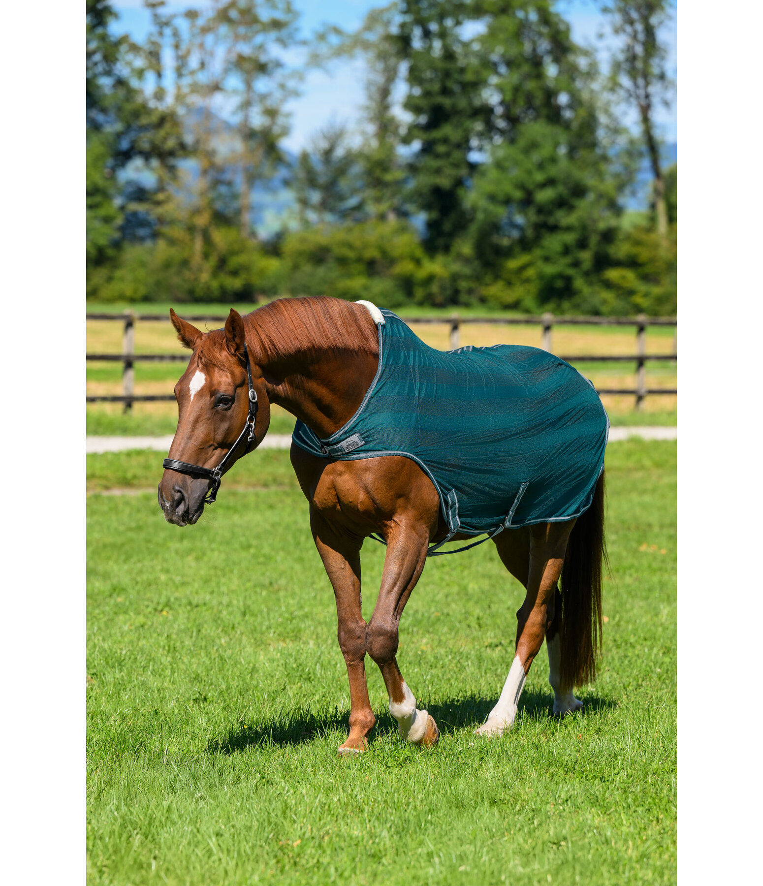 Couverture de marcheur anti-mouches  Economy Light