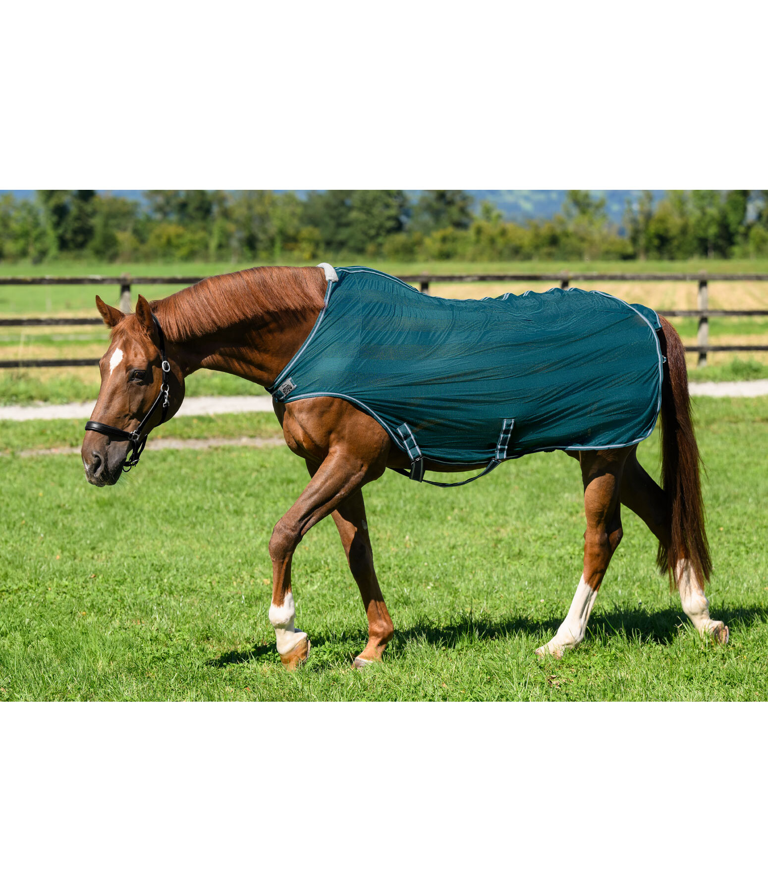 Couverture de marcheur anti-mouches  Economy Light