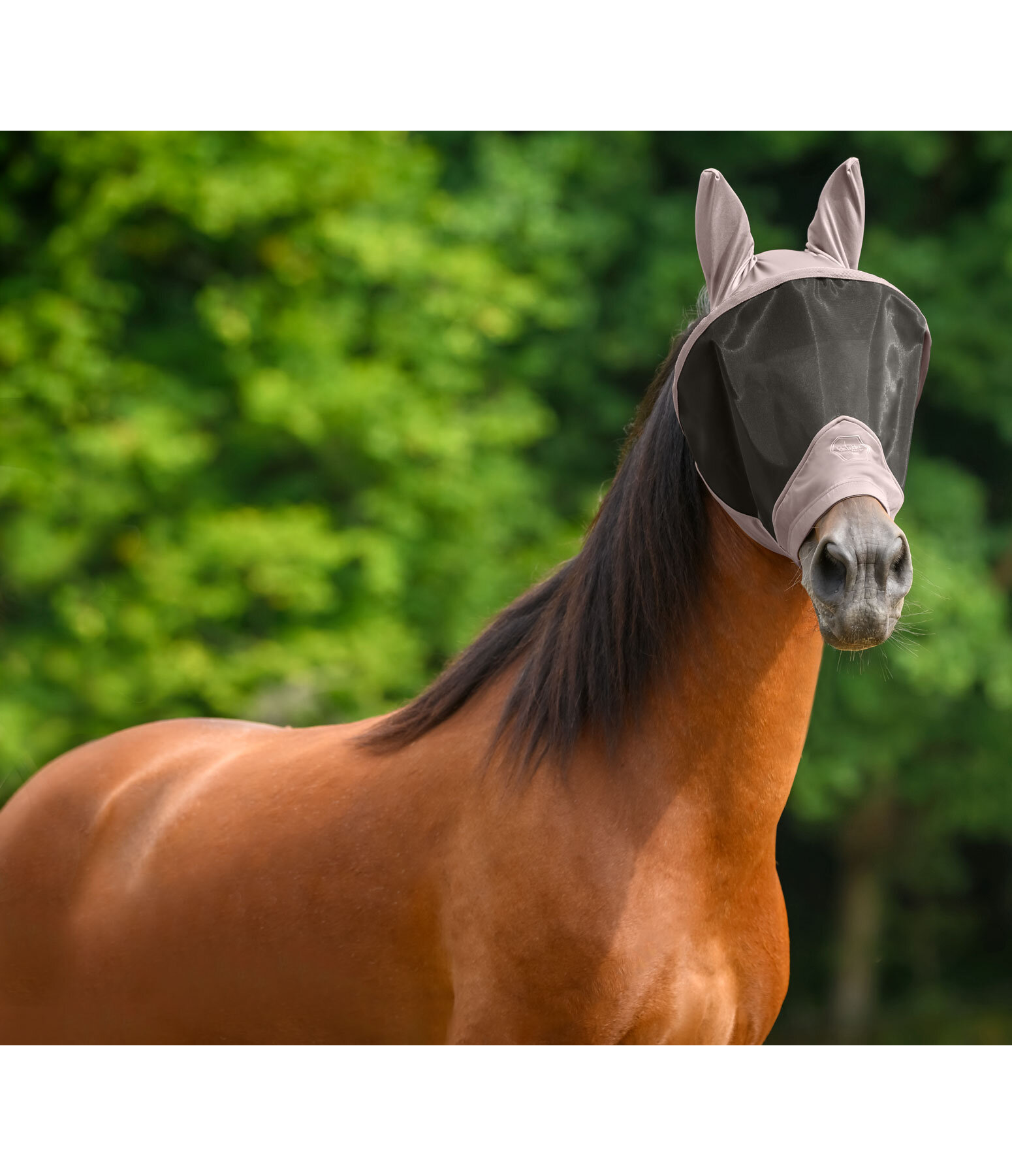 Masque anti-mouches avec fermeture  glissire  Stretch Comfort Pro, sans protge-naseaux