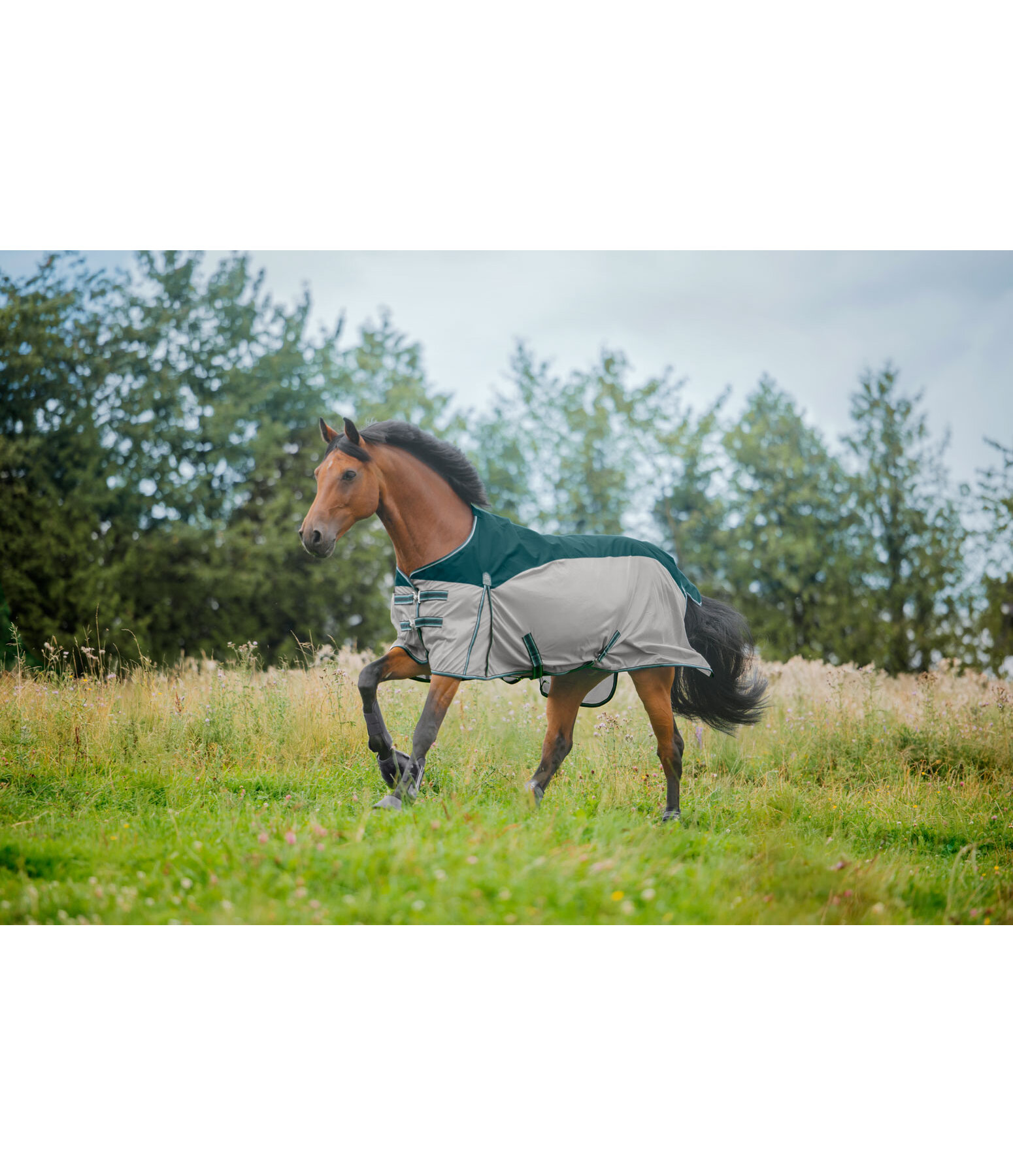 Couverture combine anti-mouches  Kadir Fly