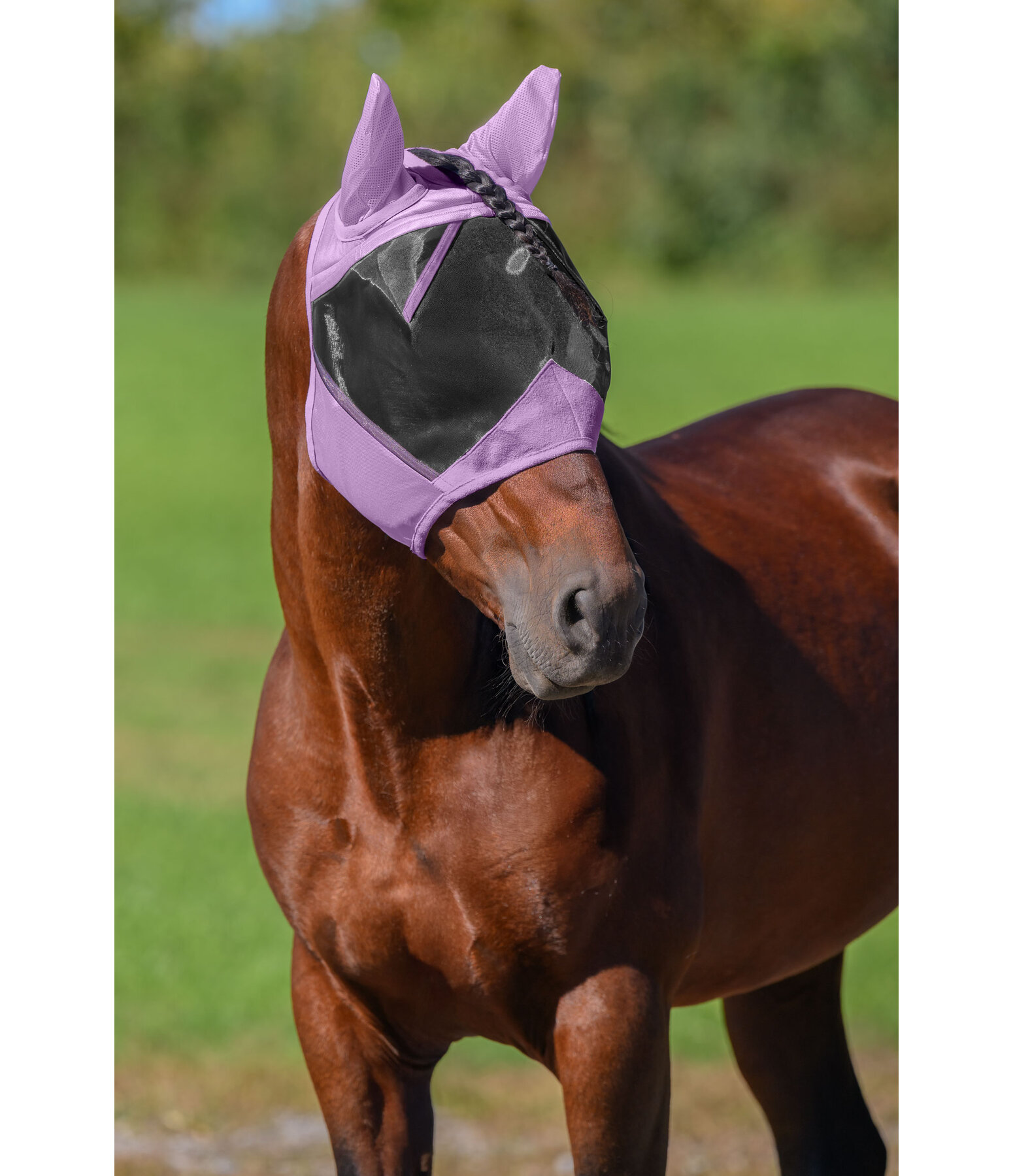 Masque anti-mouches  Basic