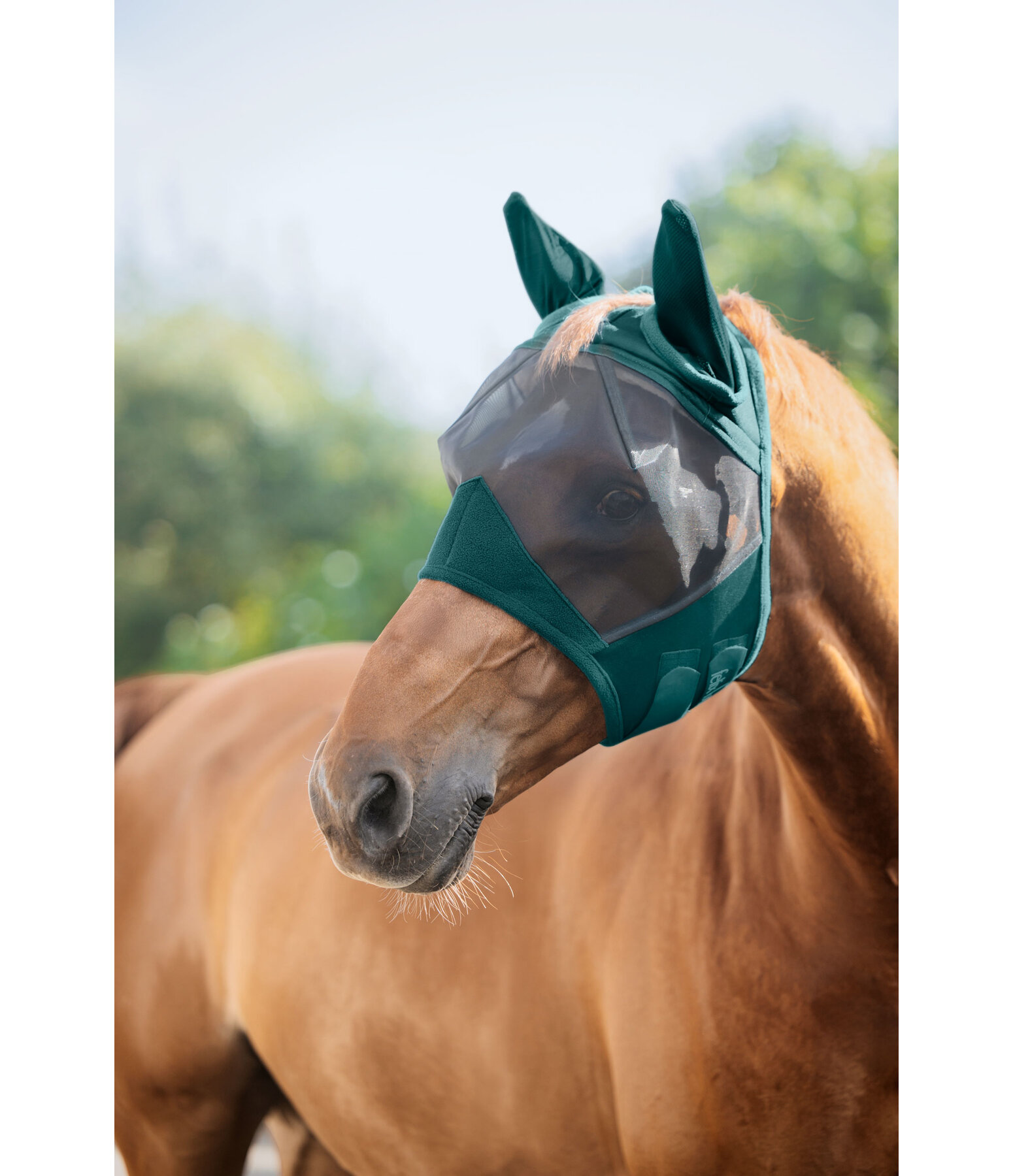 Masque anti-mouches  Basic