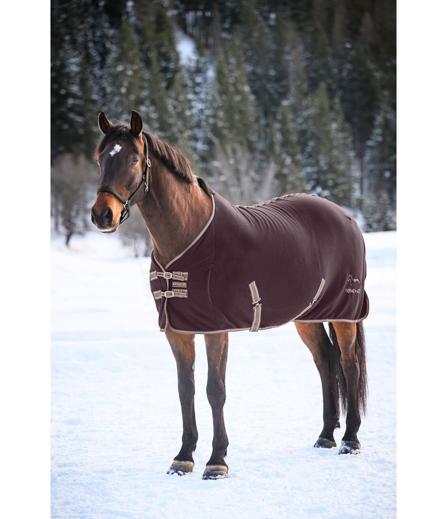 Chemise polaire  Activity