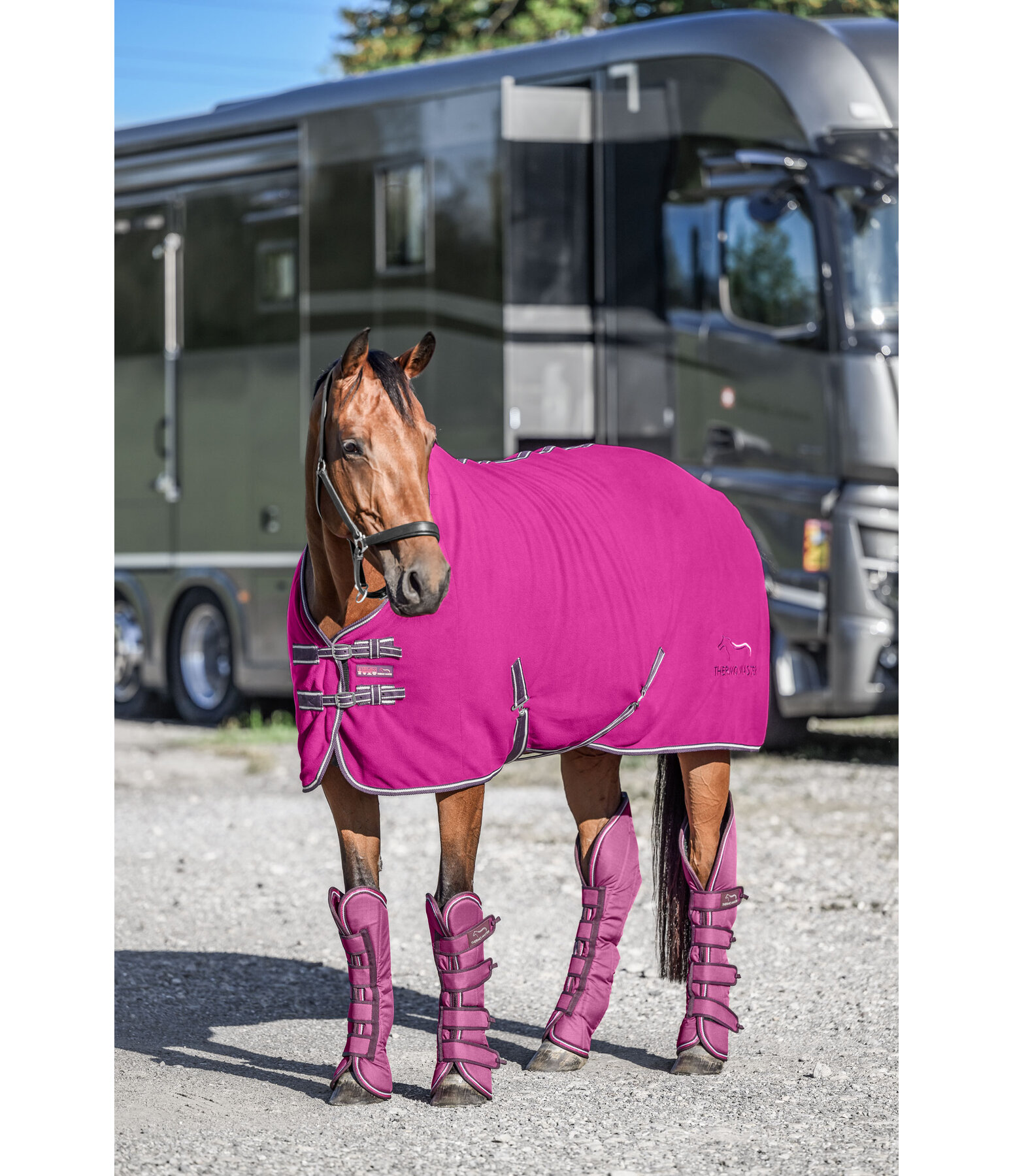 Chemise polaire  Activity