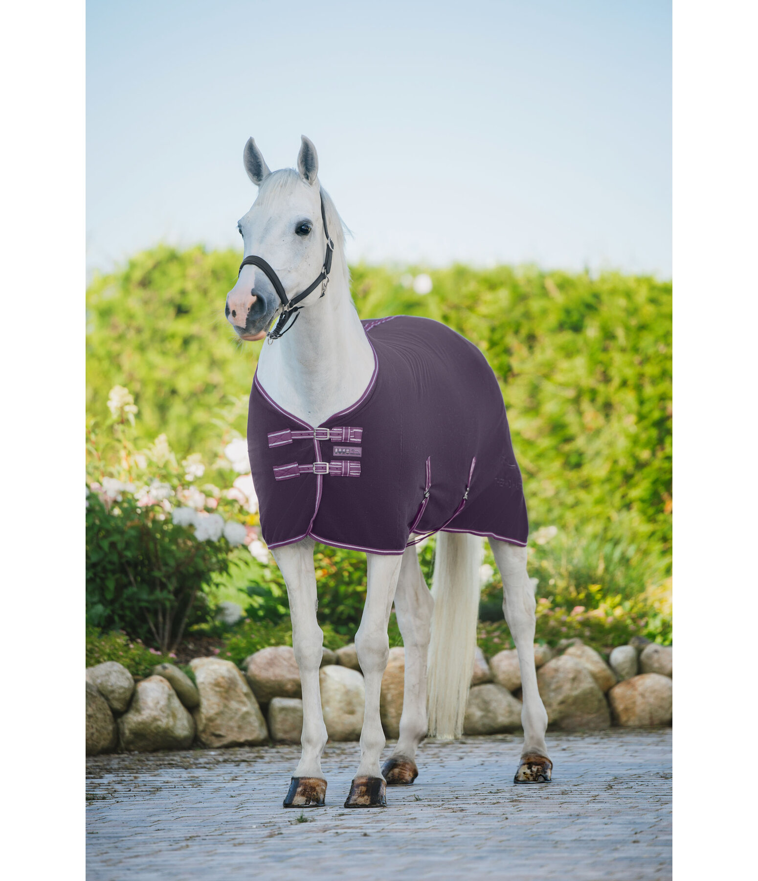 Chemise polaire  Activity