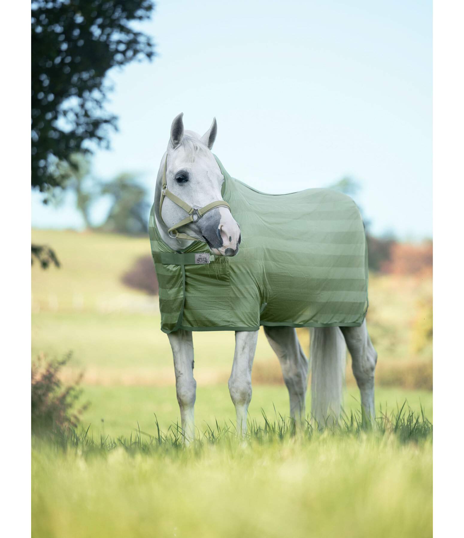 Couverture anti-mouches  Economy Light