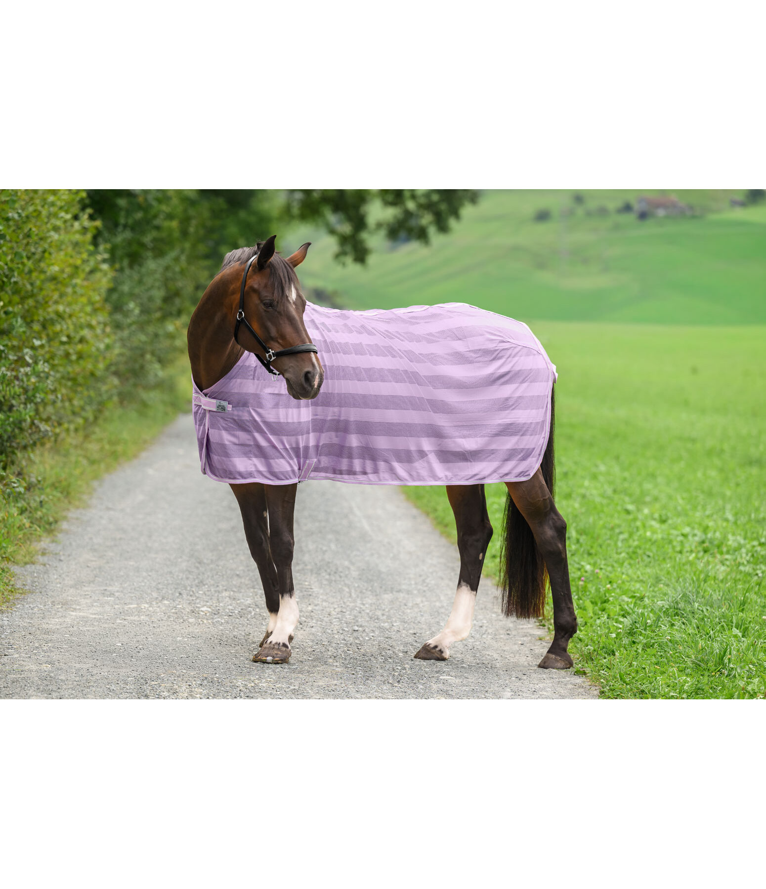 Couverture anti-mouches  Economy Light