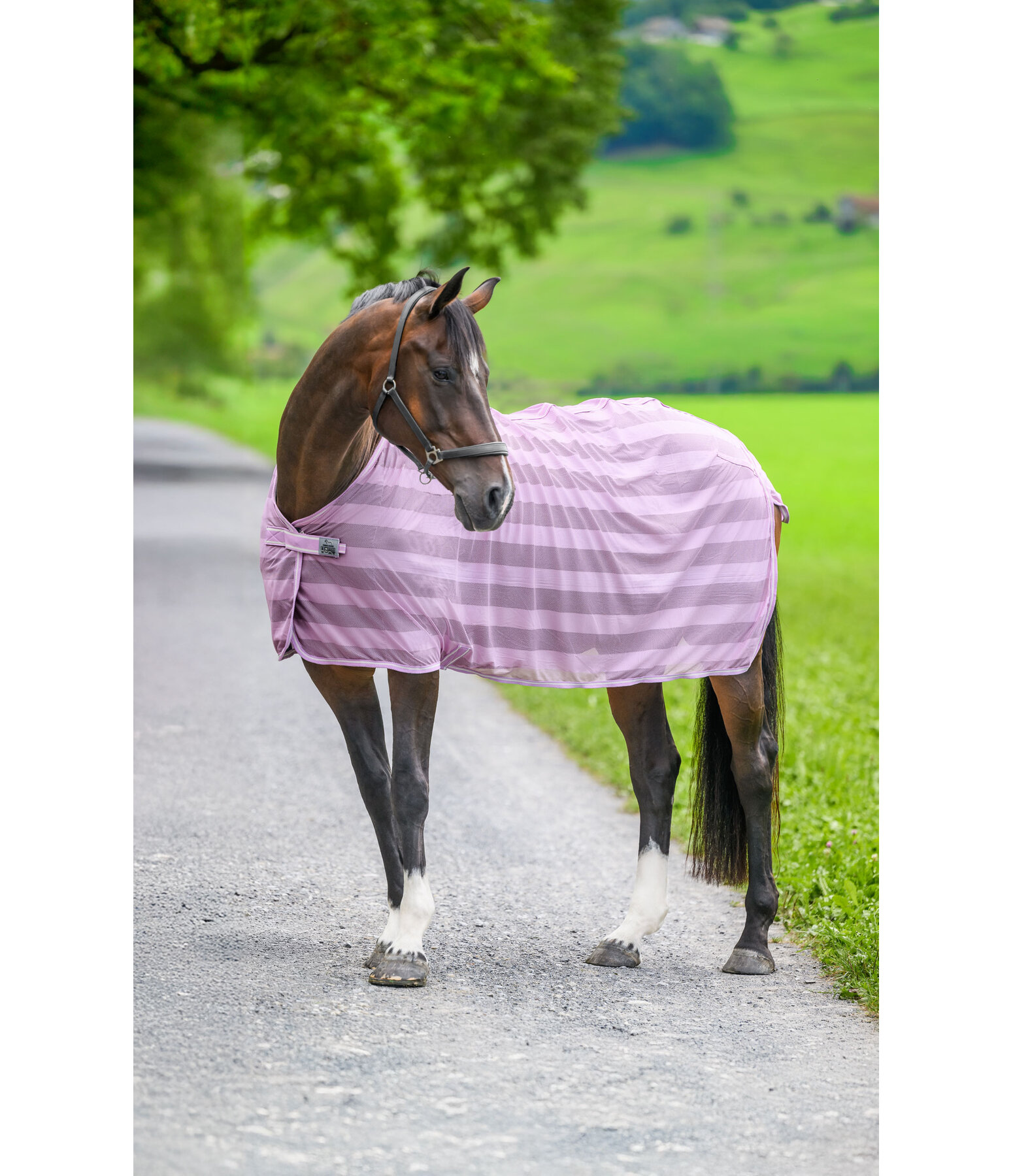 Couverture anti-mouches  Economy Light