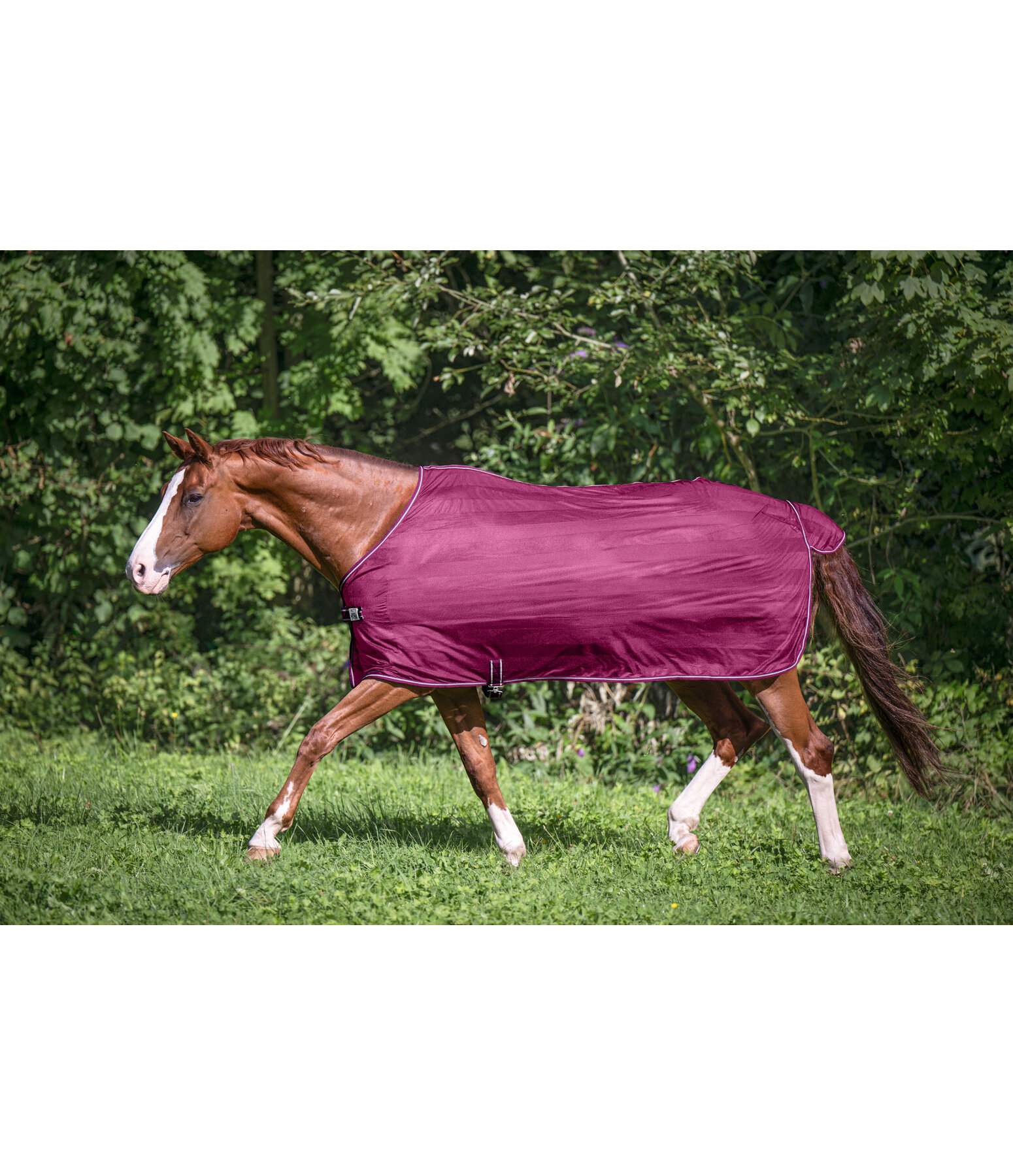 Couverture anti-mouches  Economy Light