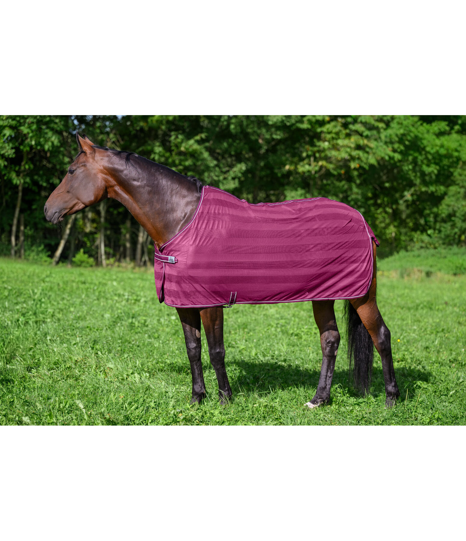 Couverture anti-mouches  Economy Light