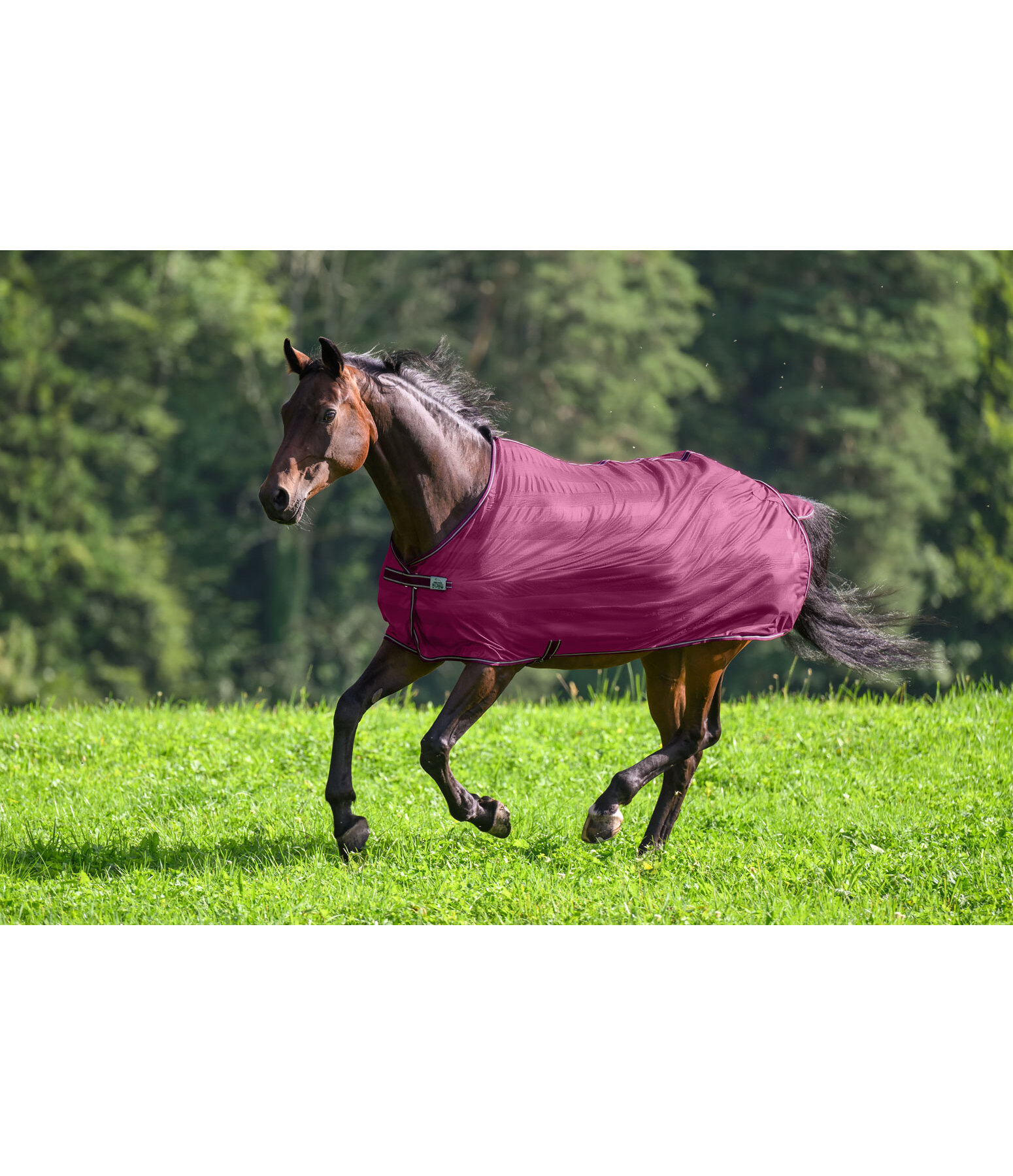 Couverture anti-mouches  Economy Light