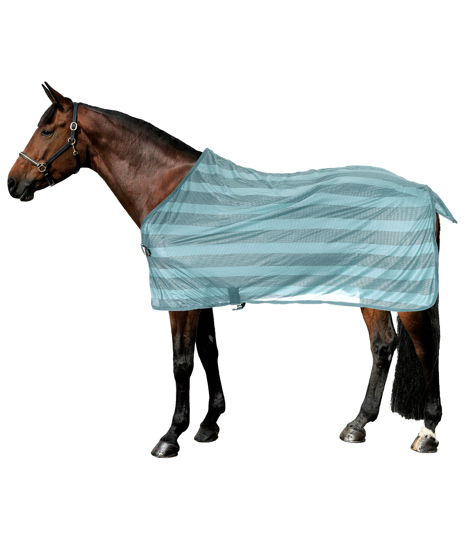 Couverture anti-mouches  Economy Light