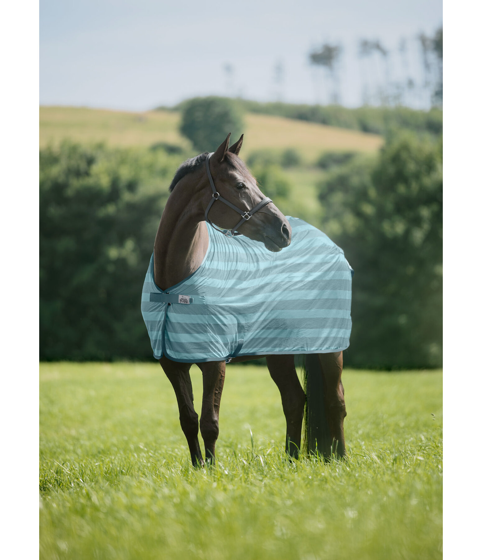 Couverture anti-mouches  Economy Light