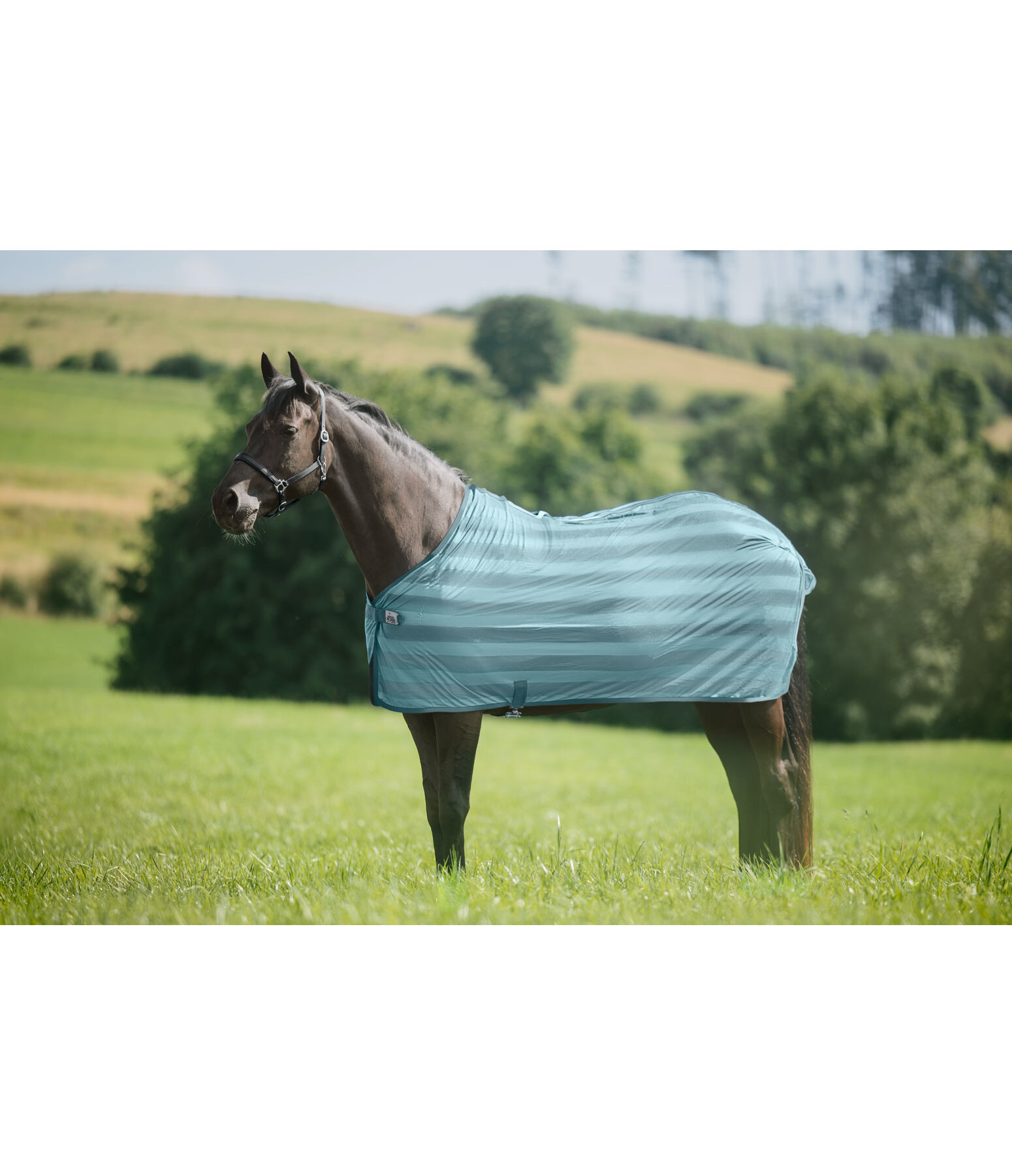 Couverture anti-mouches  Economy Light
