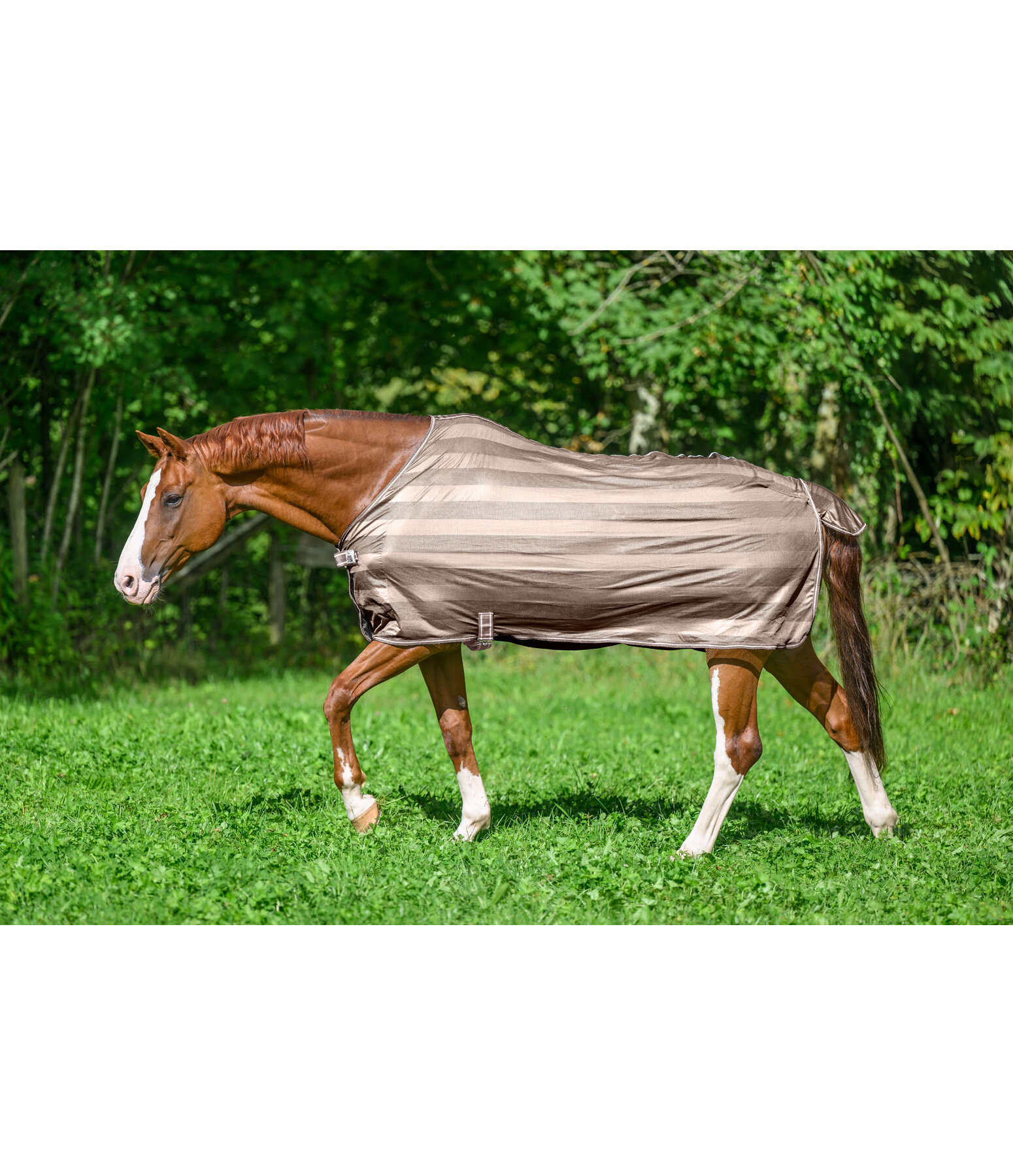 Couverture anti-mouches  Economy Light