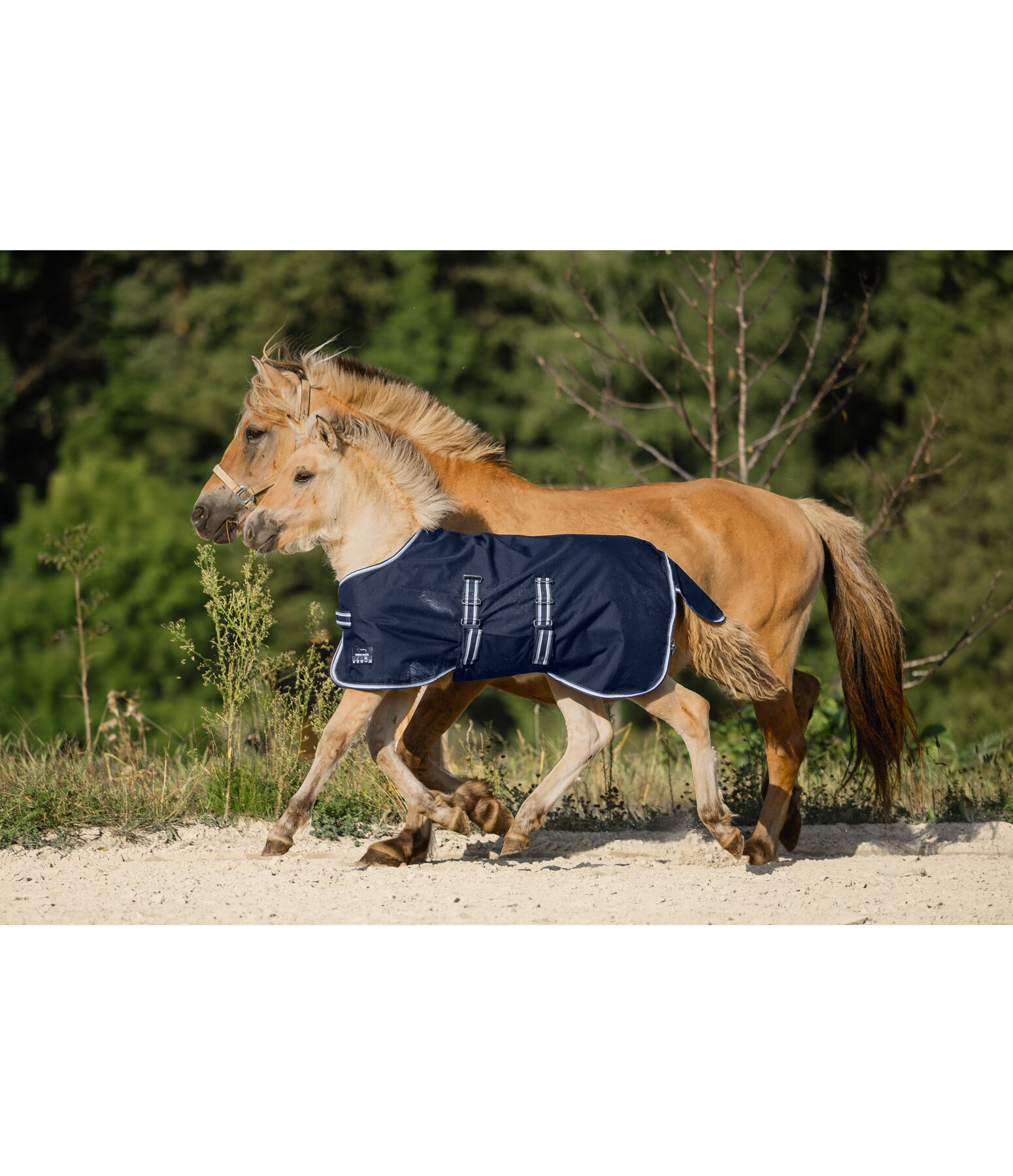 Couverture de pluie pour shetlands et poulains  Kubi, 0 g