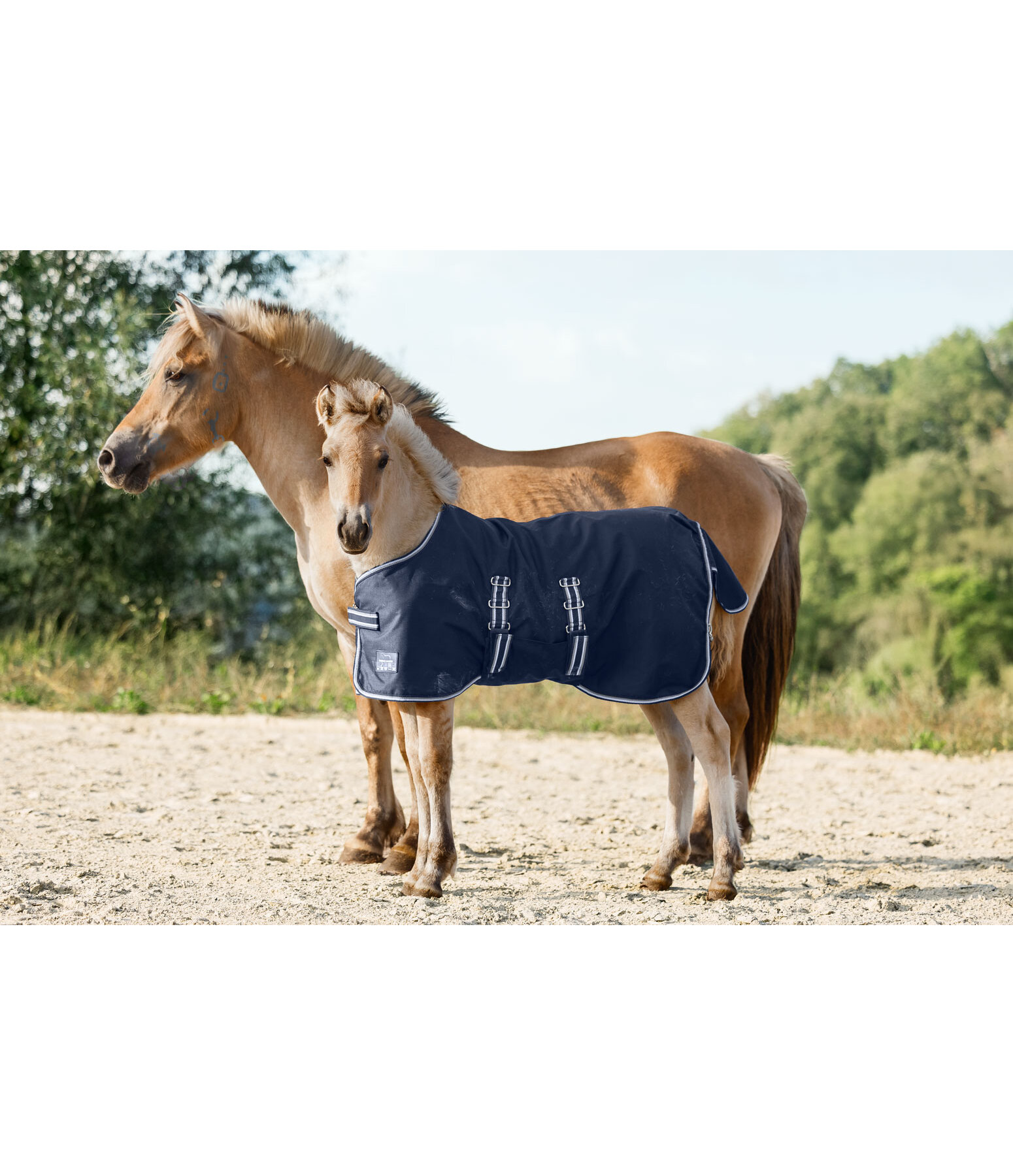 Couverture de pluie pour shetlands et poulains  Kubi, 0 g