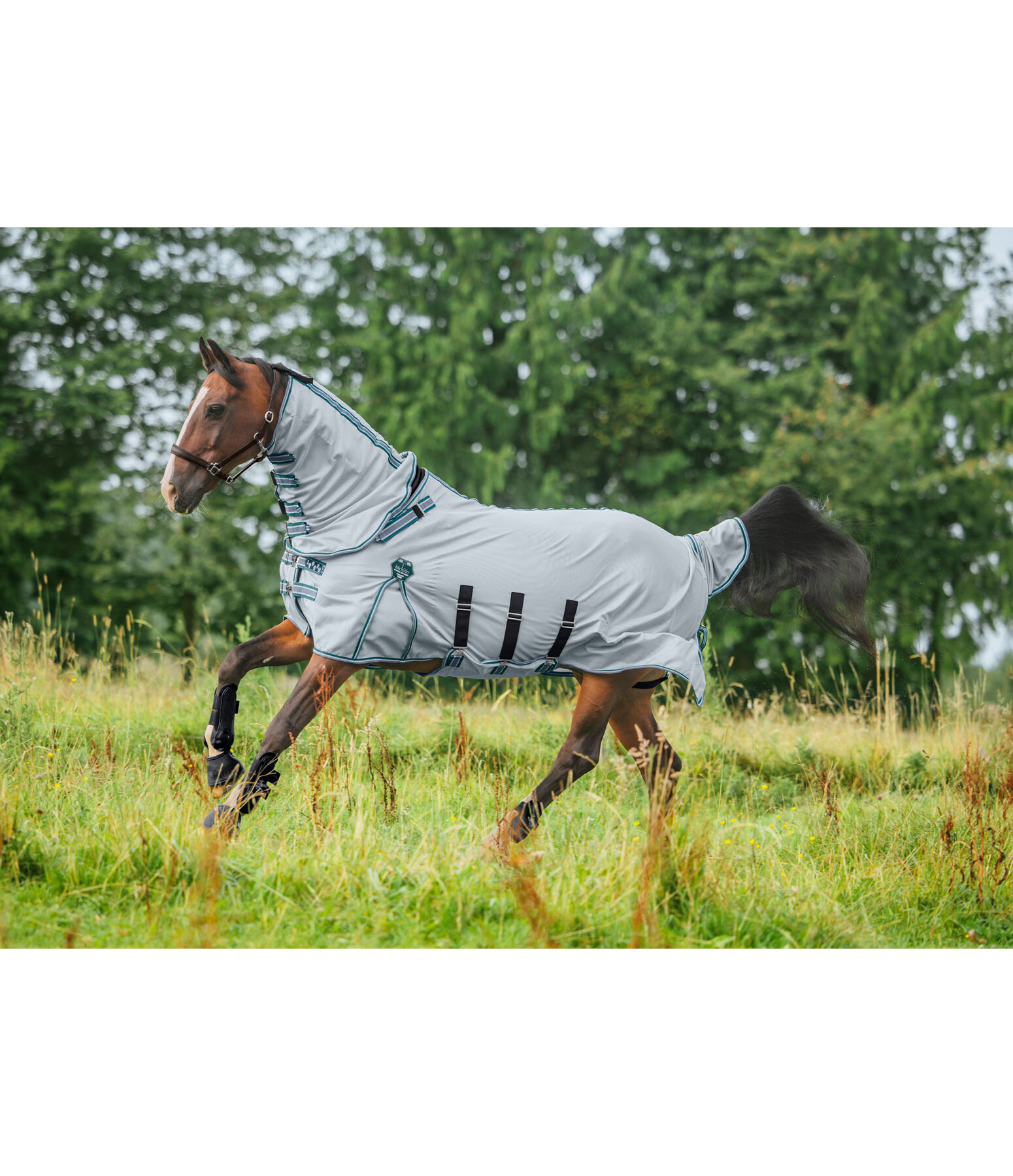 Chemise anti-mouches avec couvre-cou  Karoo
