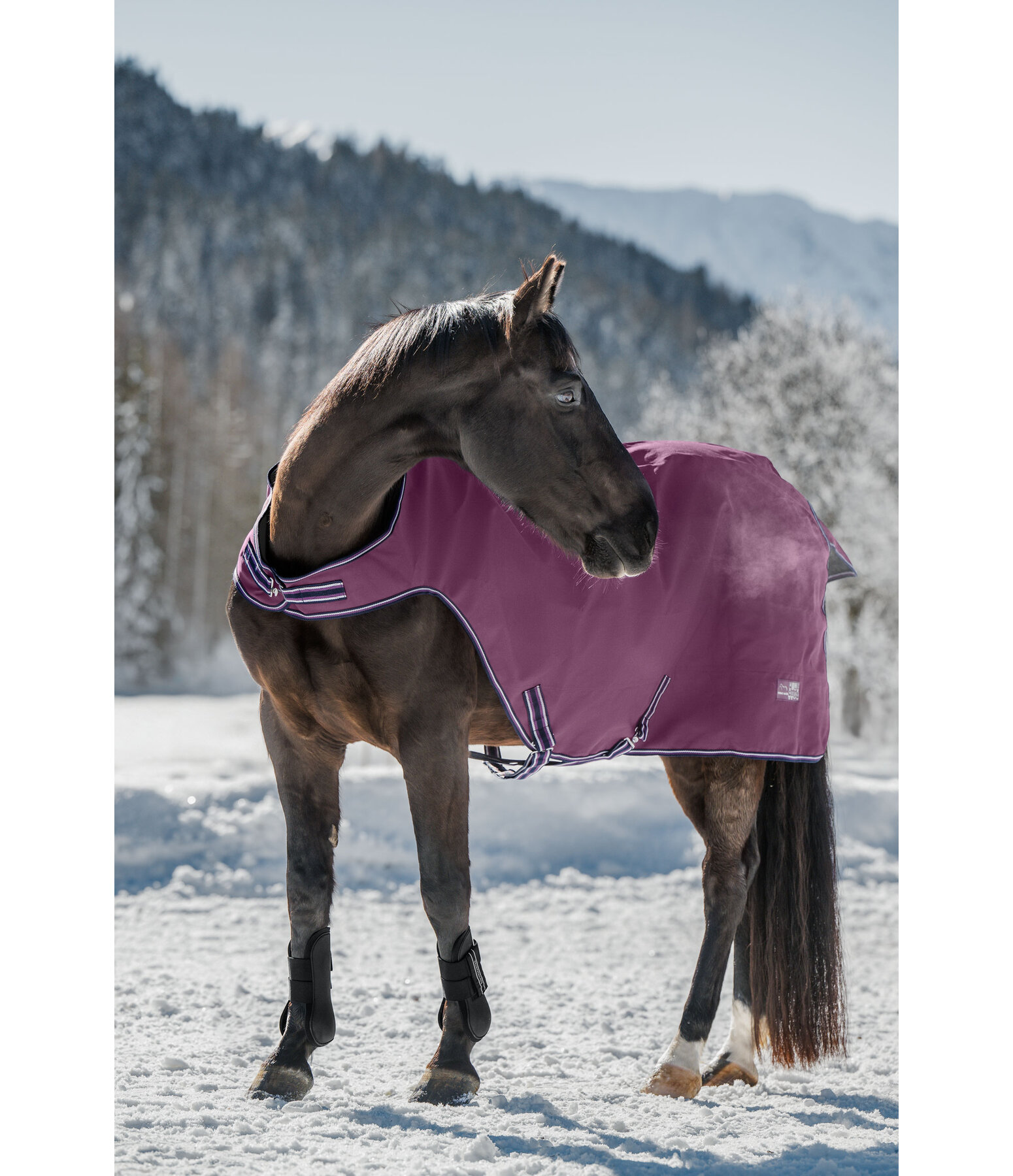 Chemise de marcheur impermable  Kasimo II, 0 g