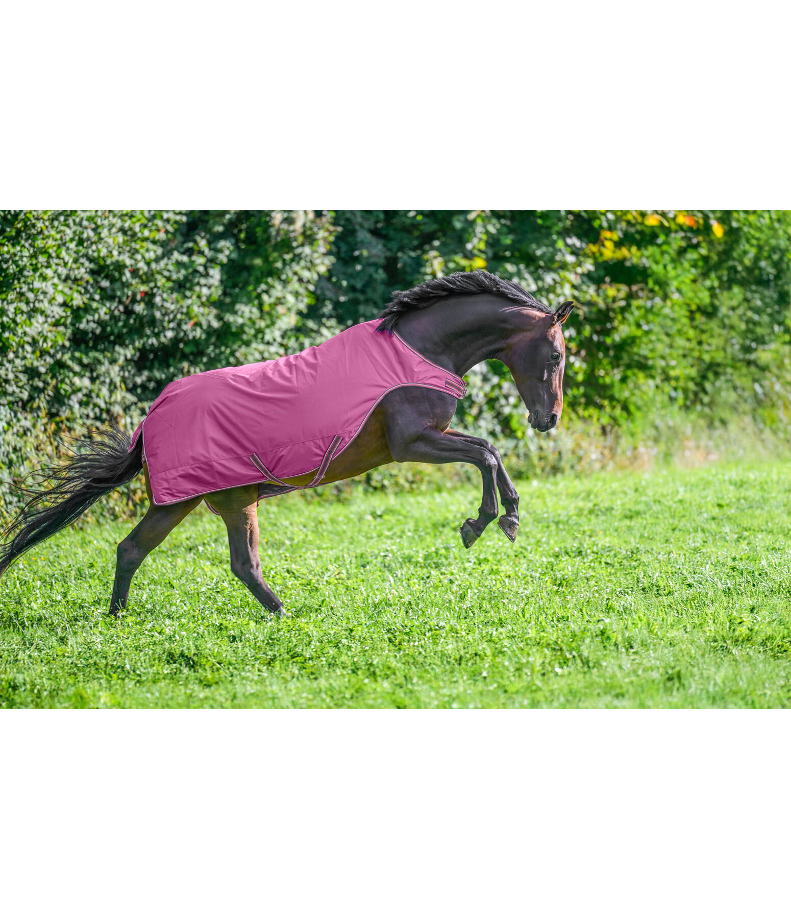 Chemise de marcheur imperm�able  Kasimo II, 0 g