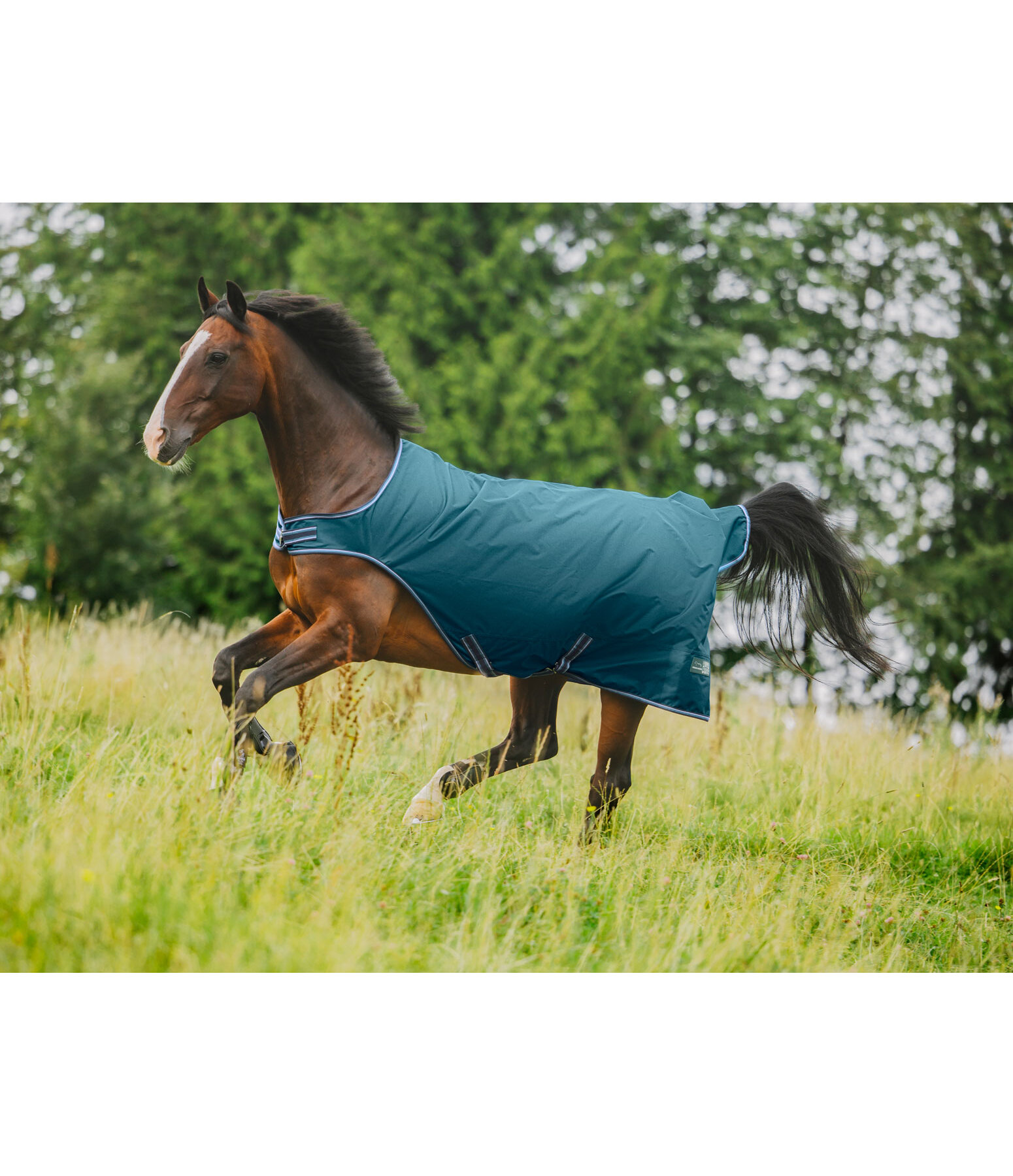 Chemise de marcheur impermable  Kasimo II, 0 g