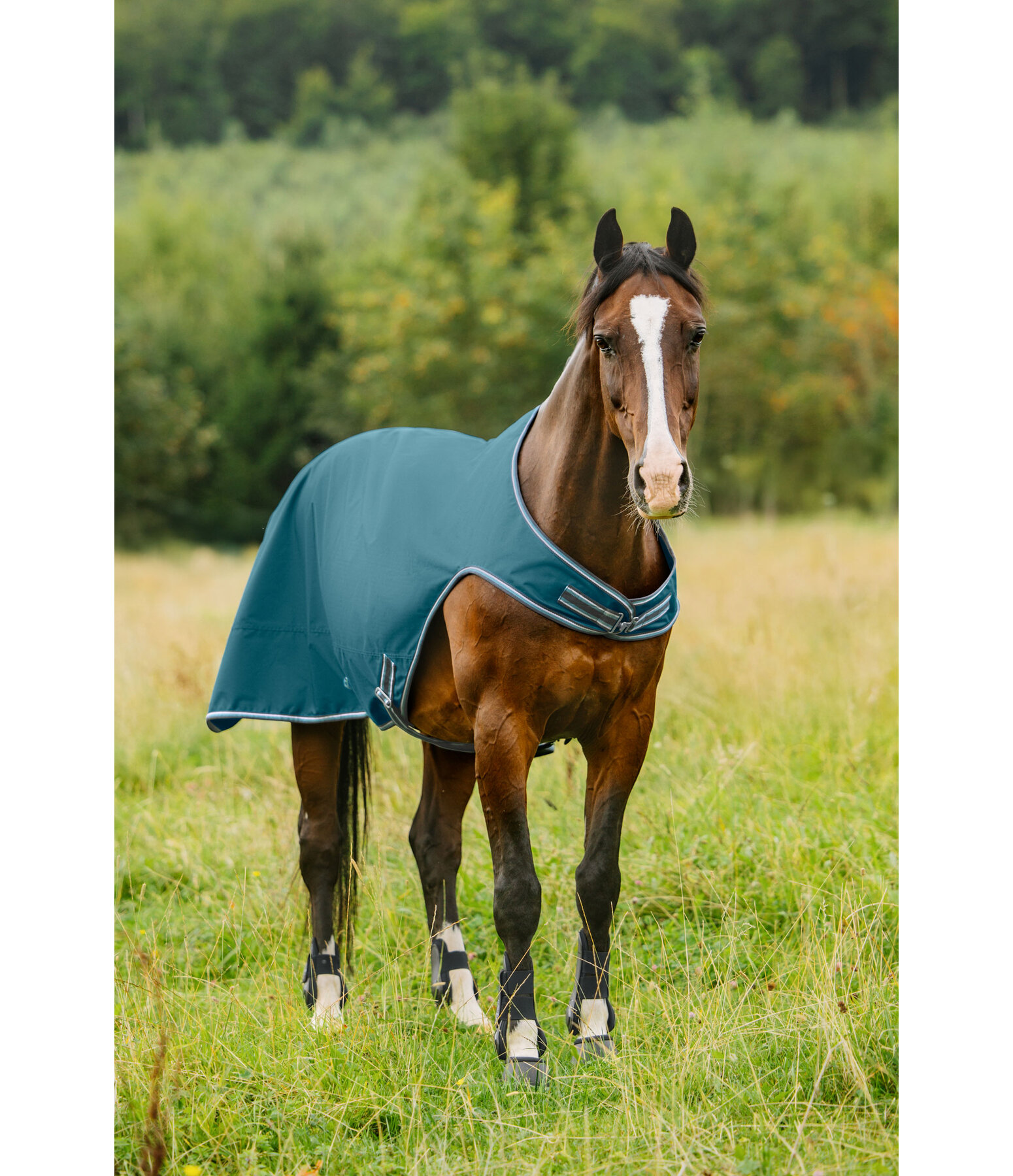Chemise de marcheur impermable  Kasimo II, 0 g
