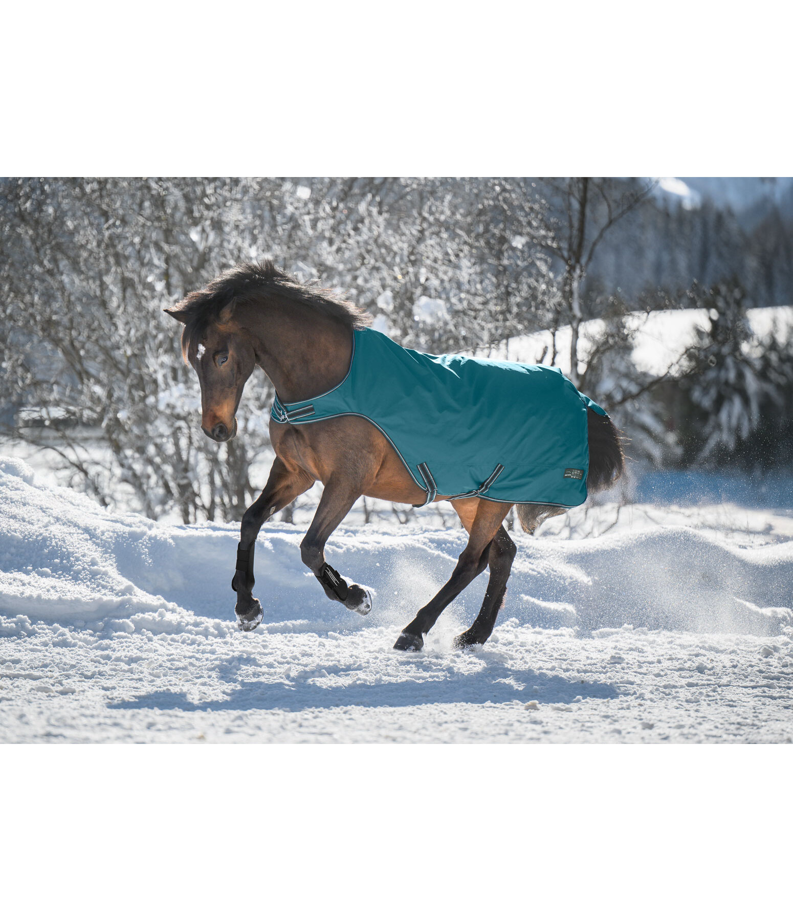 Chemise de marcheur impermable  Kasimo II, 0 g