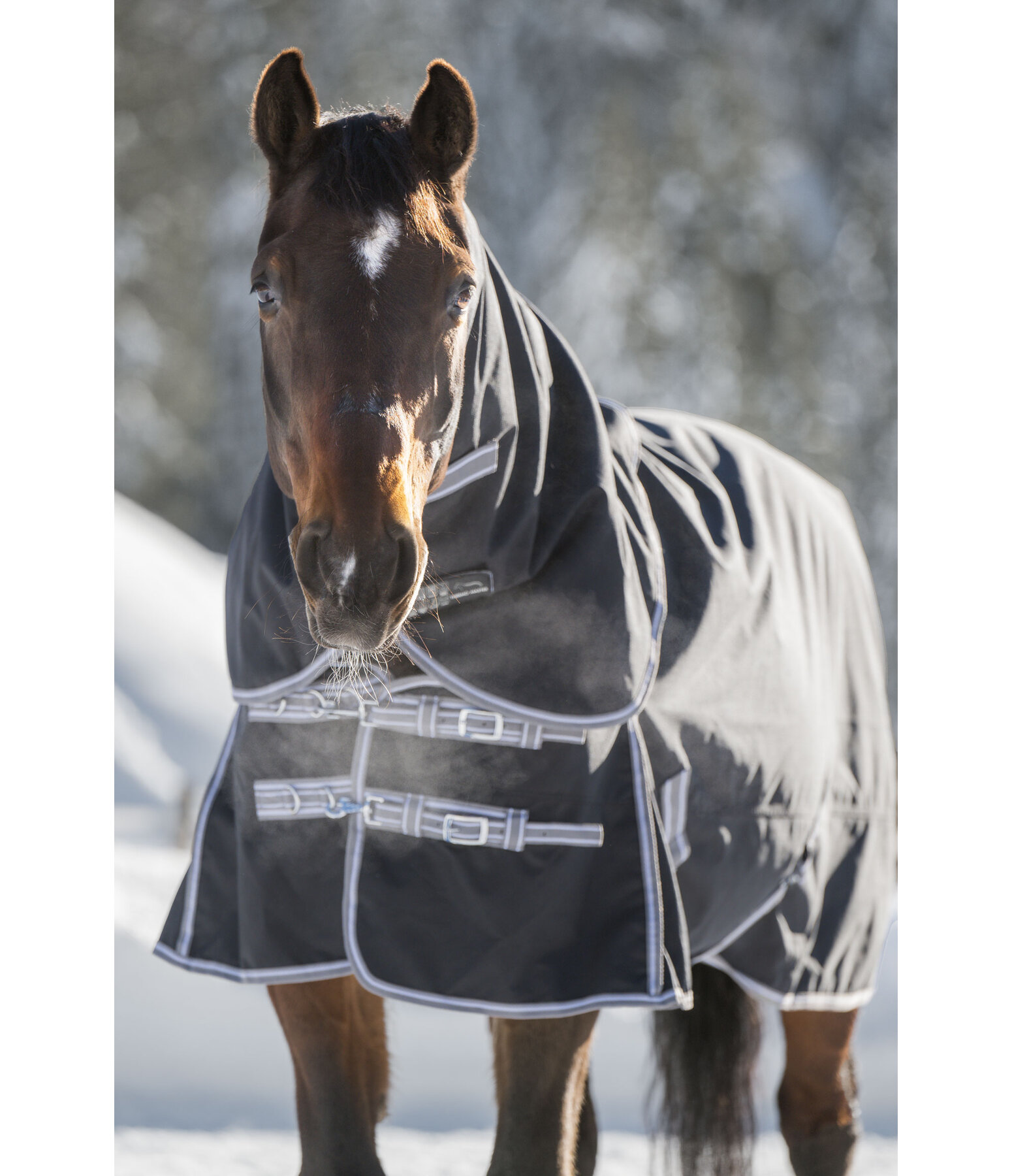 Chemise d'extrieur  combiner   Janice, 0 g