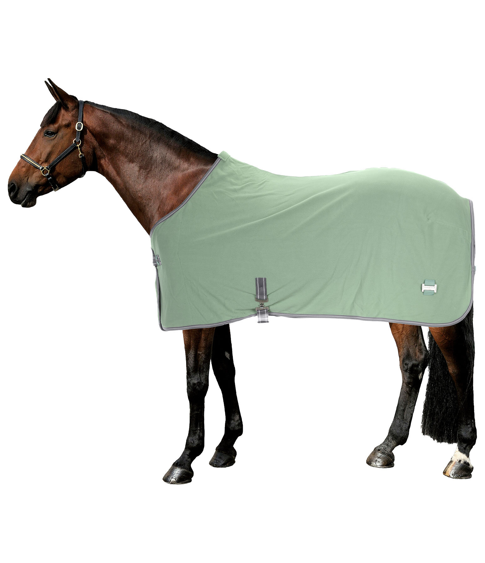 Chemise polaire schante  Essential