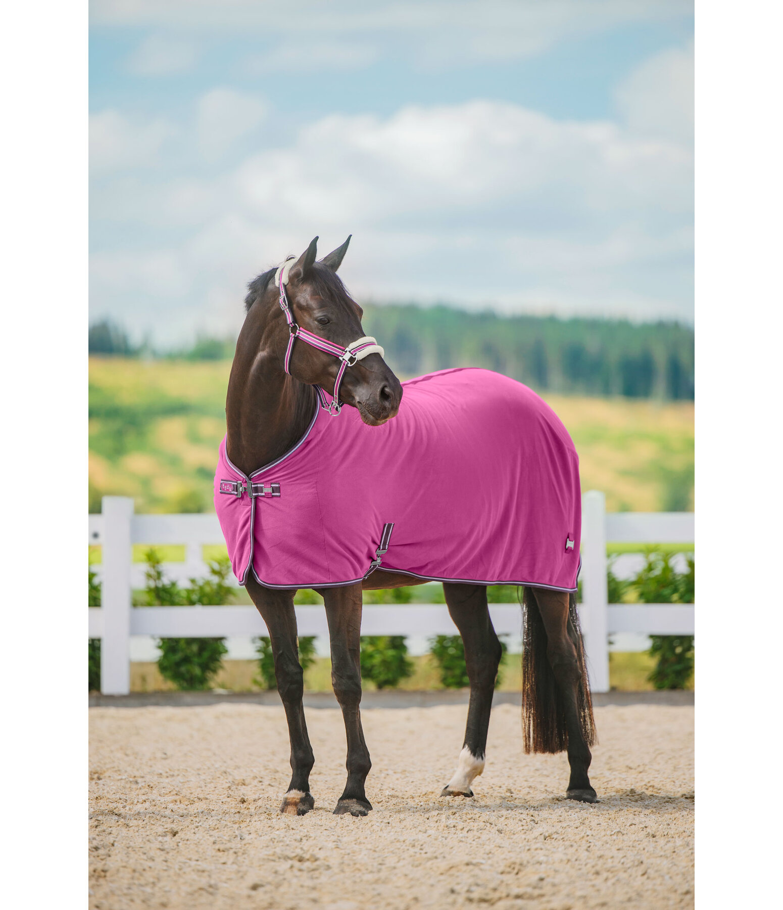 Chemise polaire schante  Essential