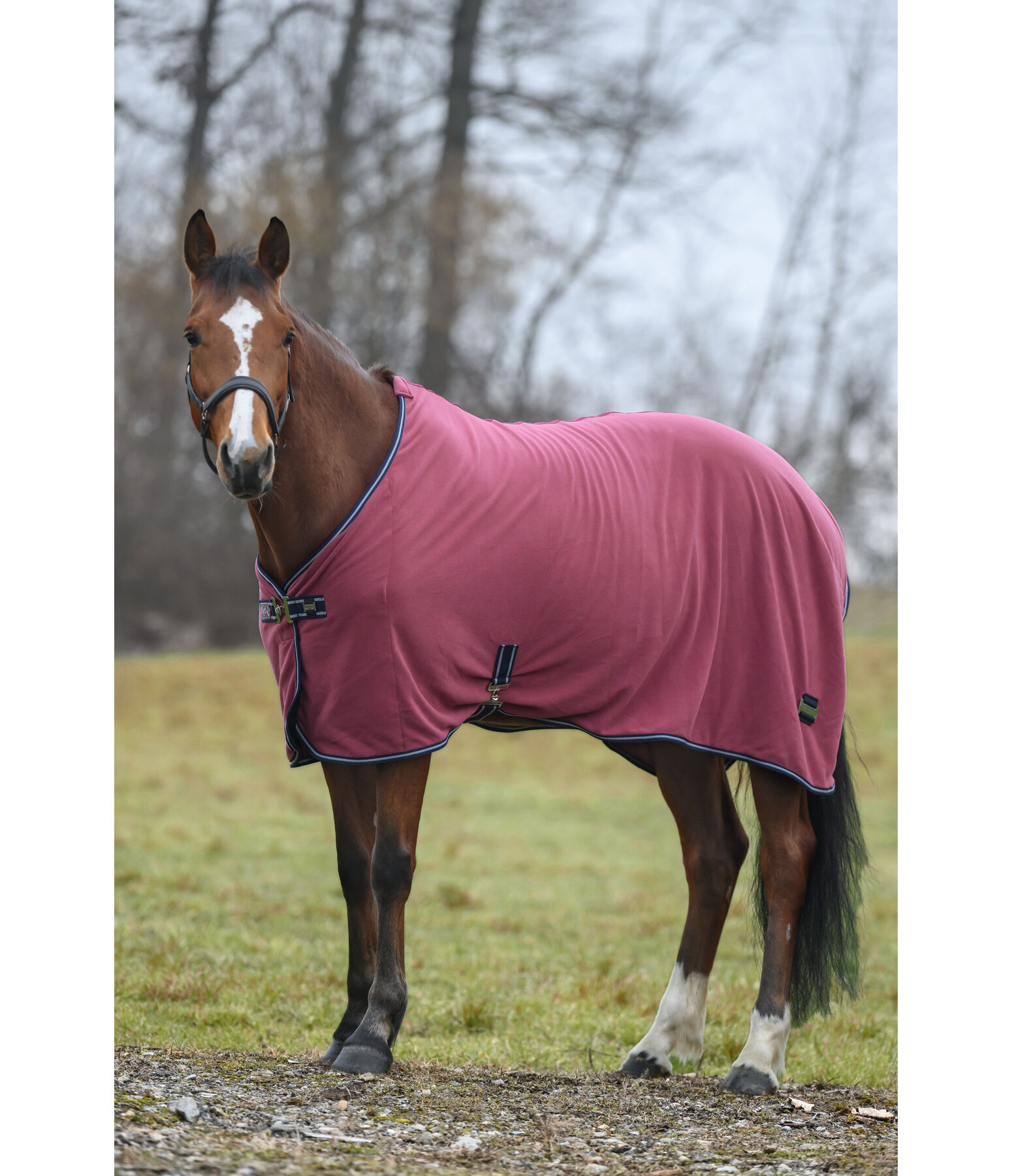 Chemise polaire schante  Essential