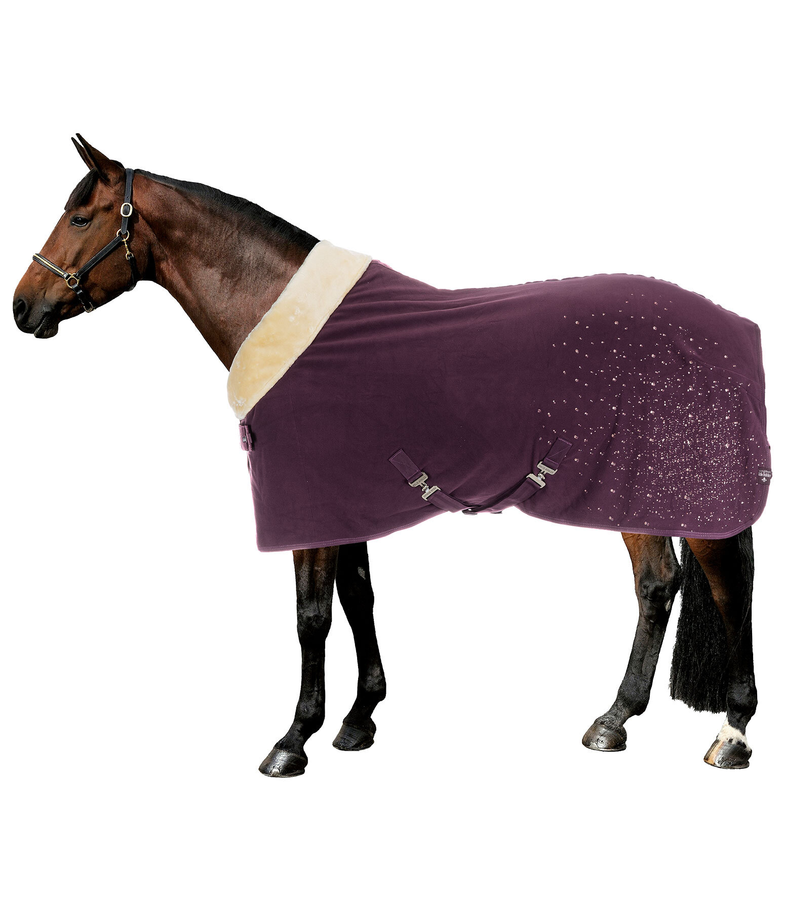 Chemise schante fonctionnelle  Sparkling II