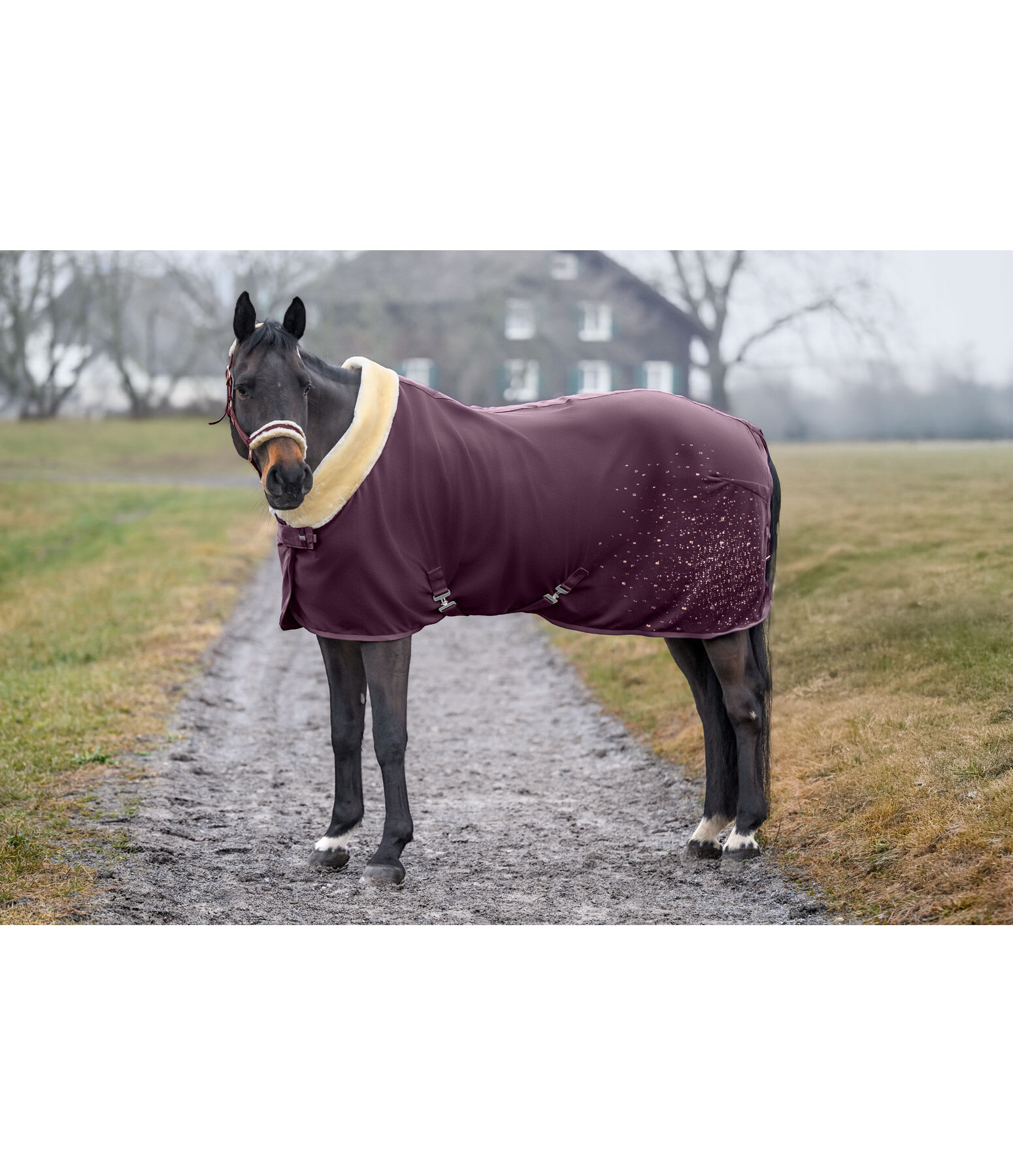 Chemise schante fonctionnelle  Sparkling II