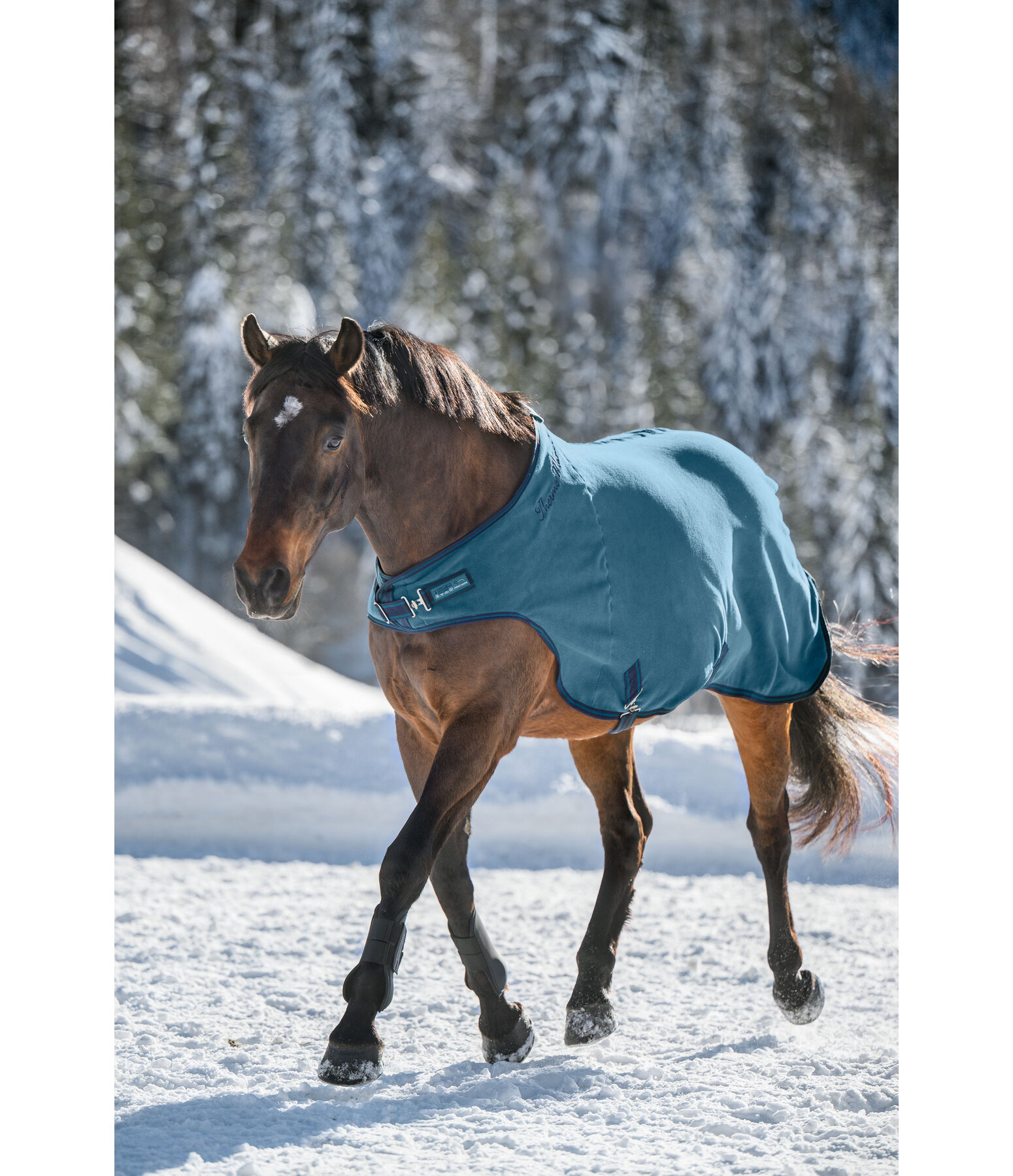 Chemise de marcheur en polaire  Activity