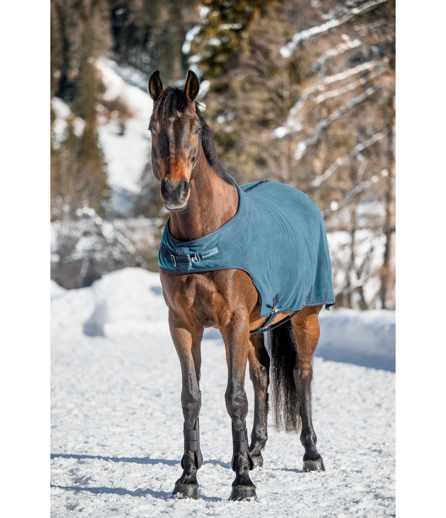 Chemise de marcheur en polaire  Activity