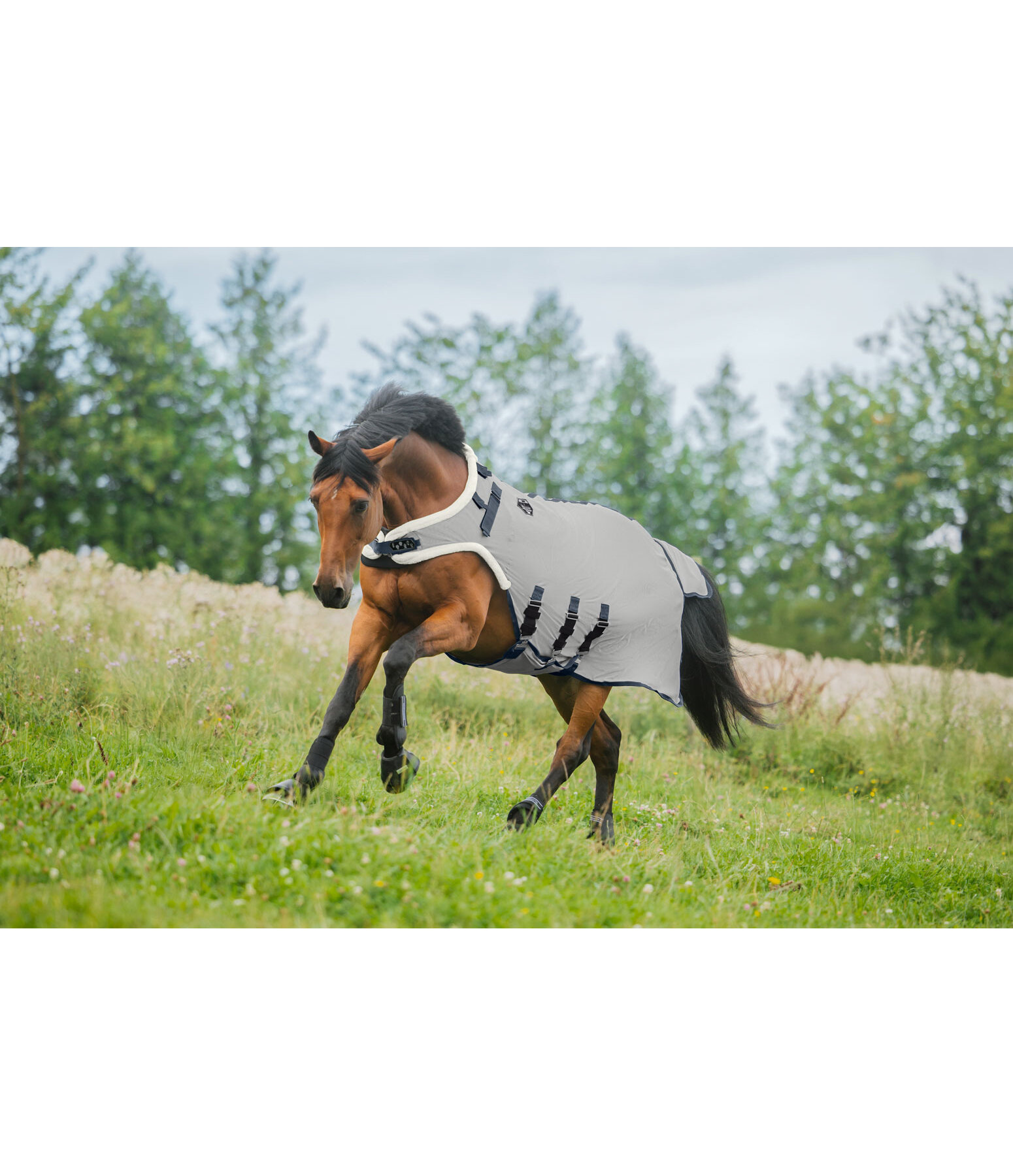 Chemise de marcheur anti-mouches avec couvre-cou  Bilma Pro
